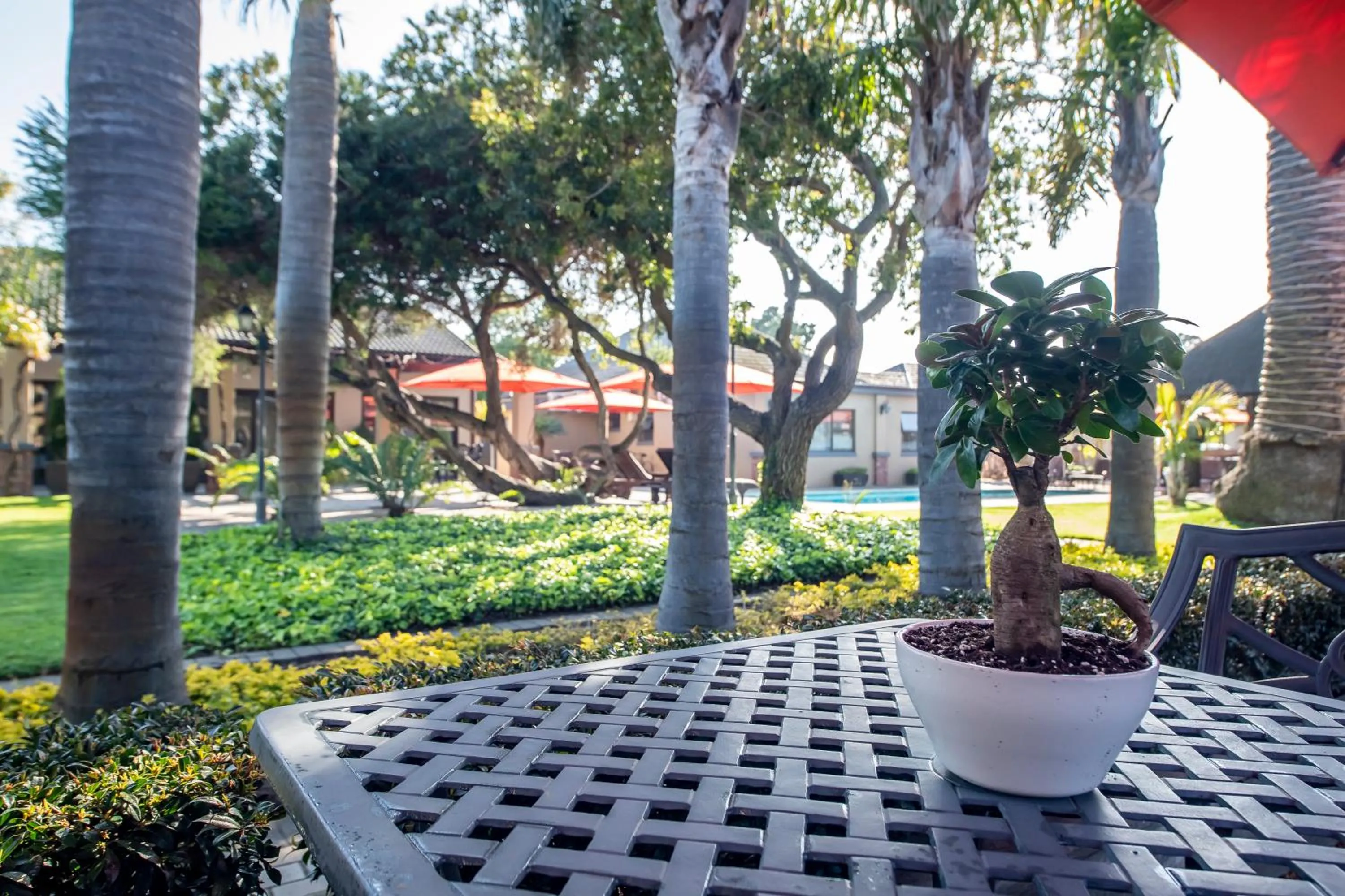 Garden in Excellent Guest House