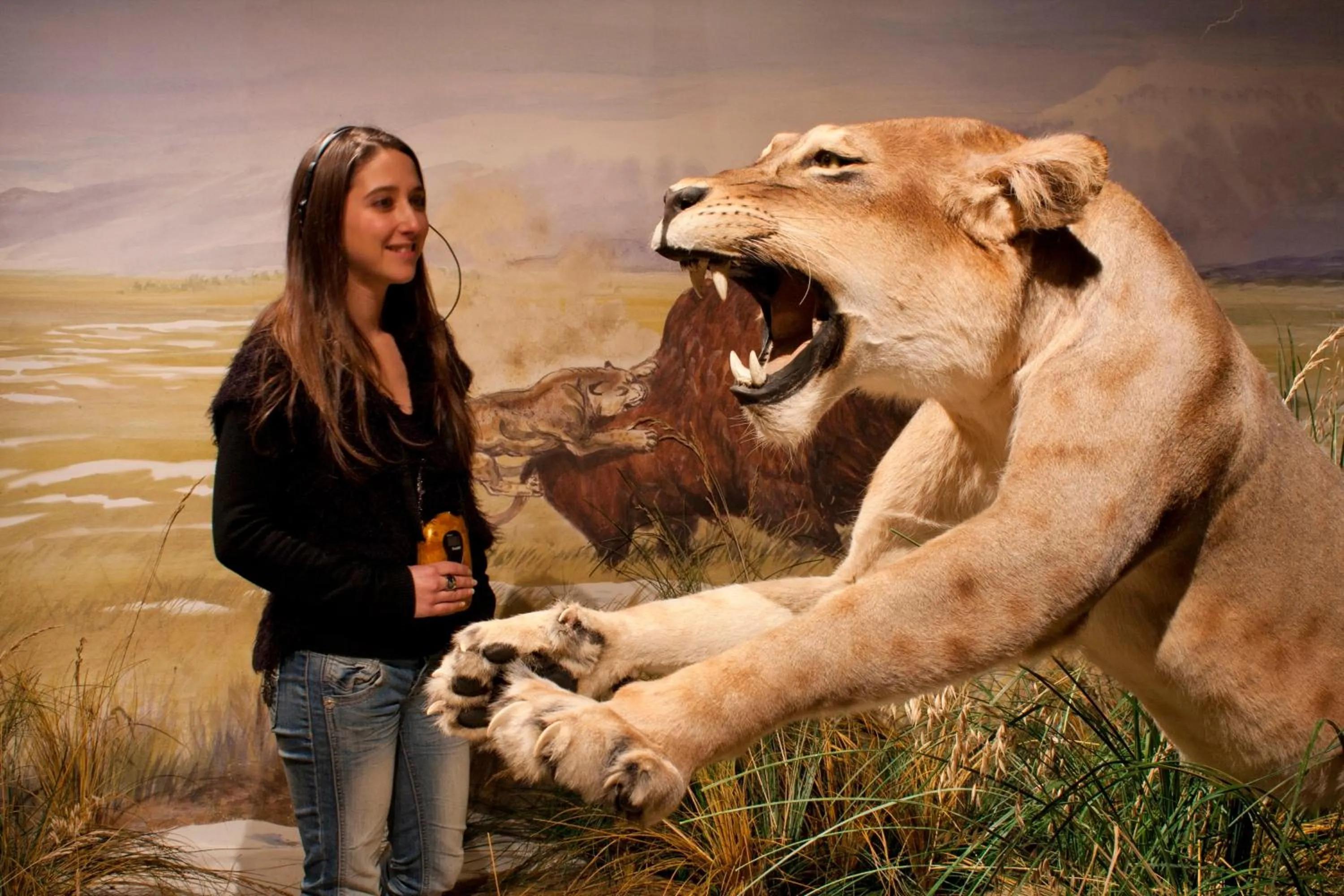 Area and facilities in Hôtel Terranostra