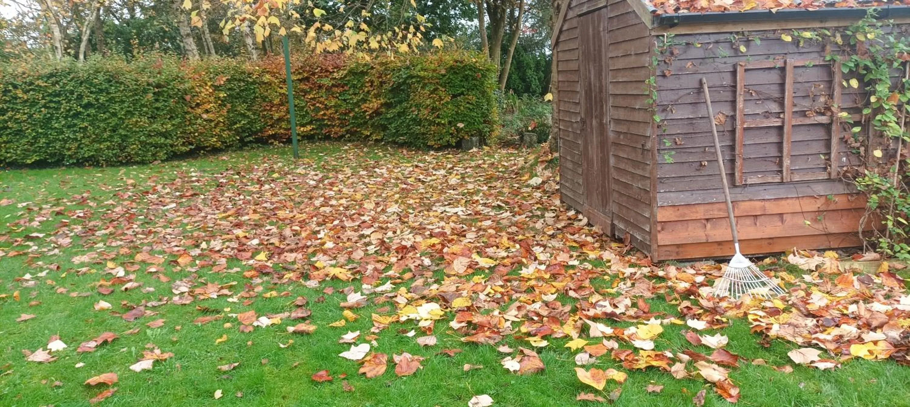 Autumn in Twin Oaks Bed & Breakfast