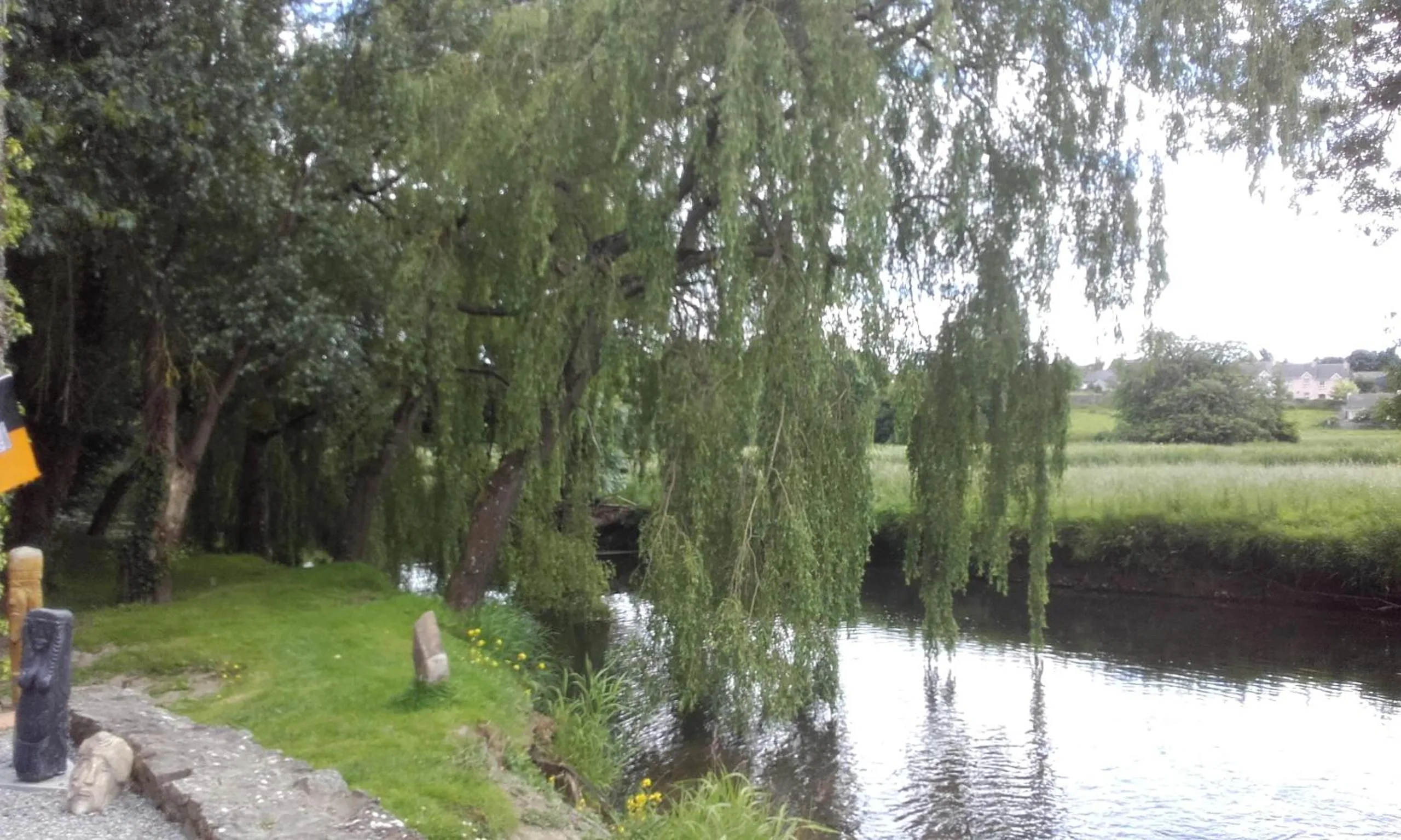 Natural landscape in Twin Oaks Bed & Breakfast