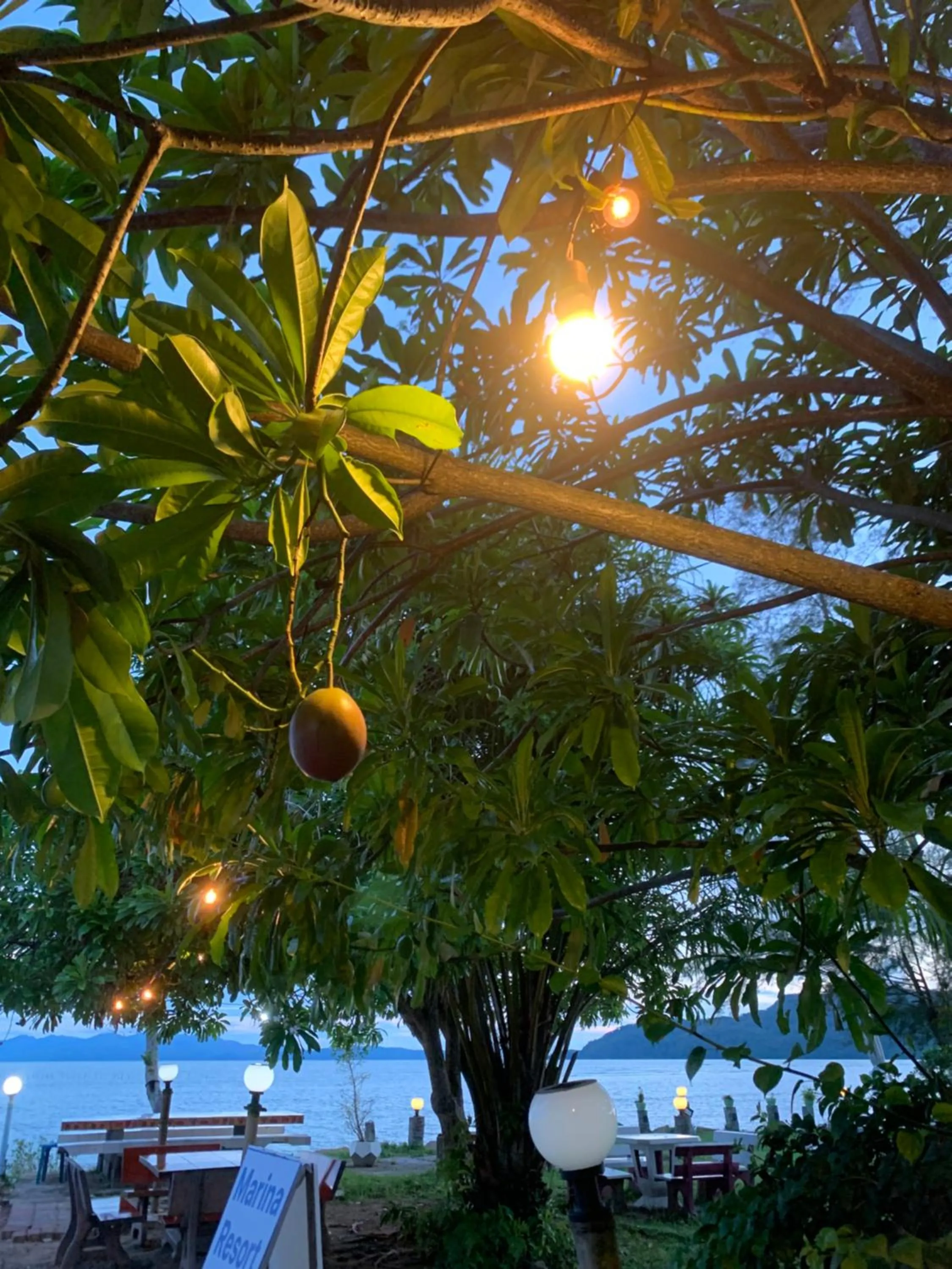 Natural landscape in Marina Resort at Pakbara Satun