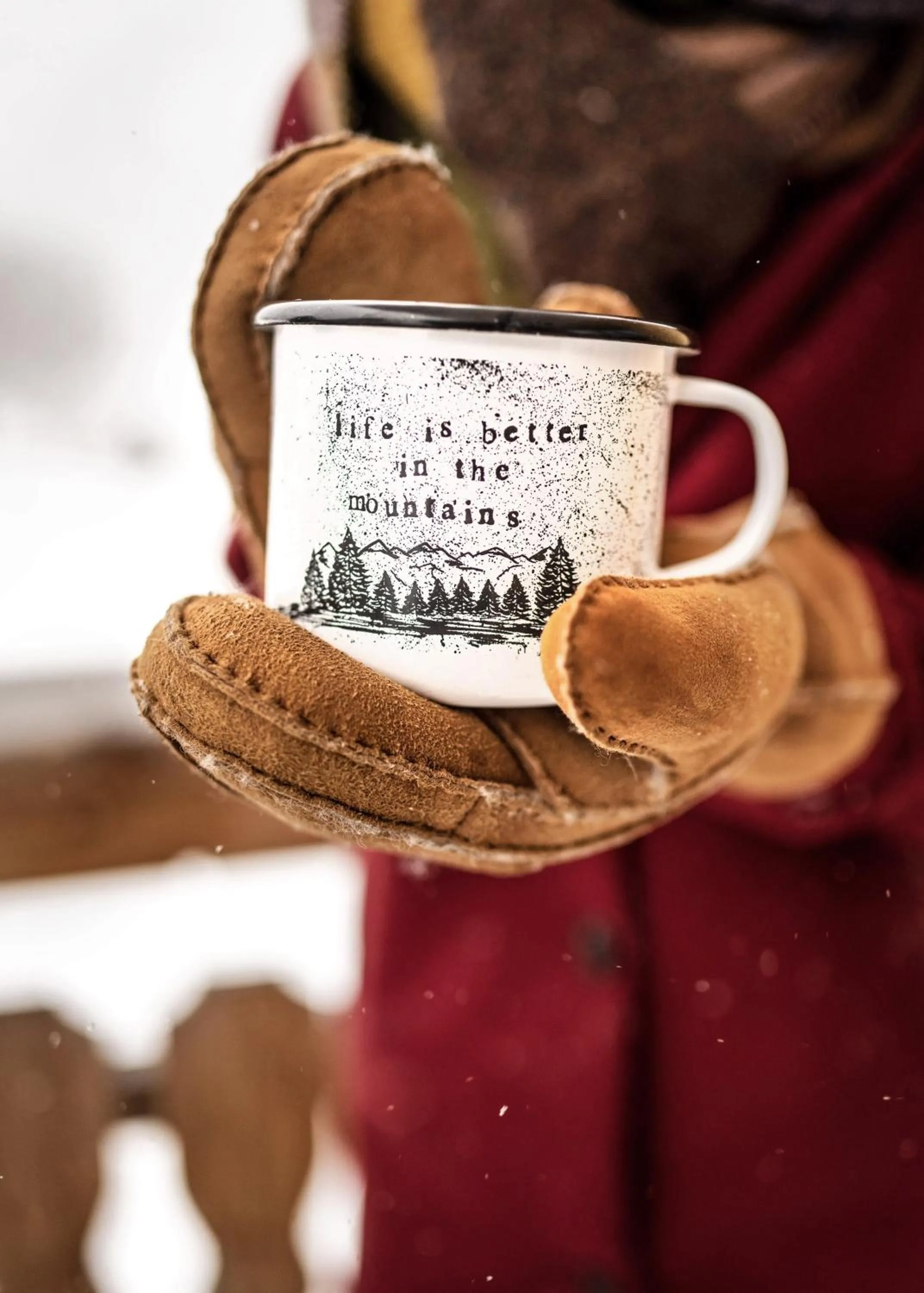 Winter in Alpin Residenz Dachsteinperle