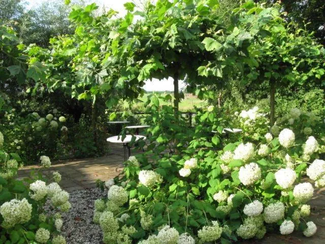 Facade/entrance in 't Wapen van Middelie