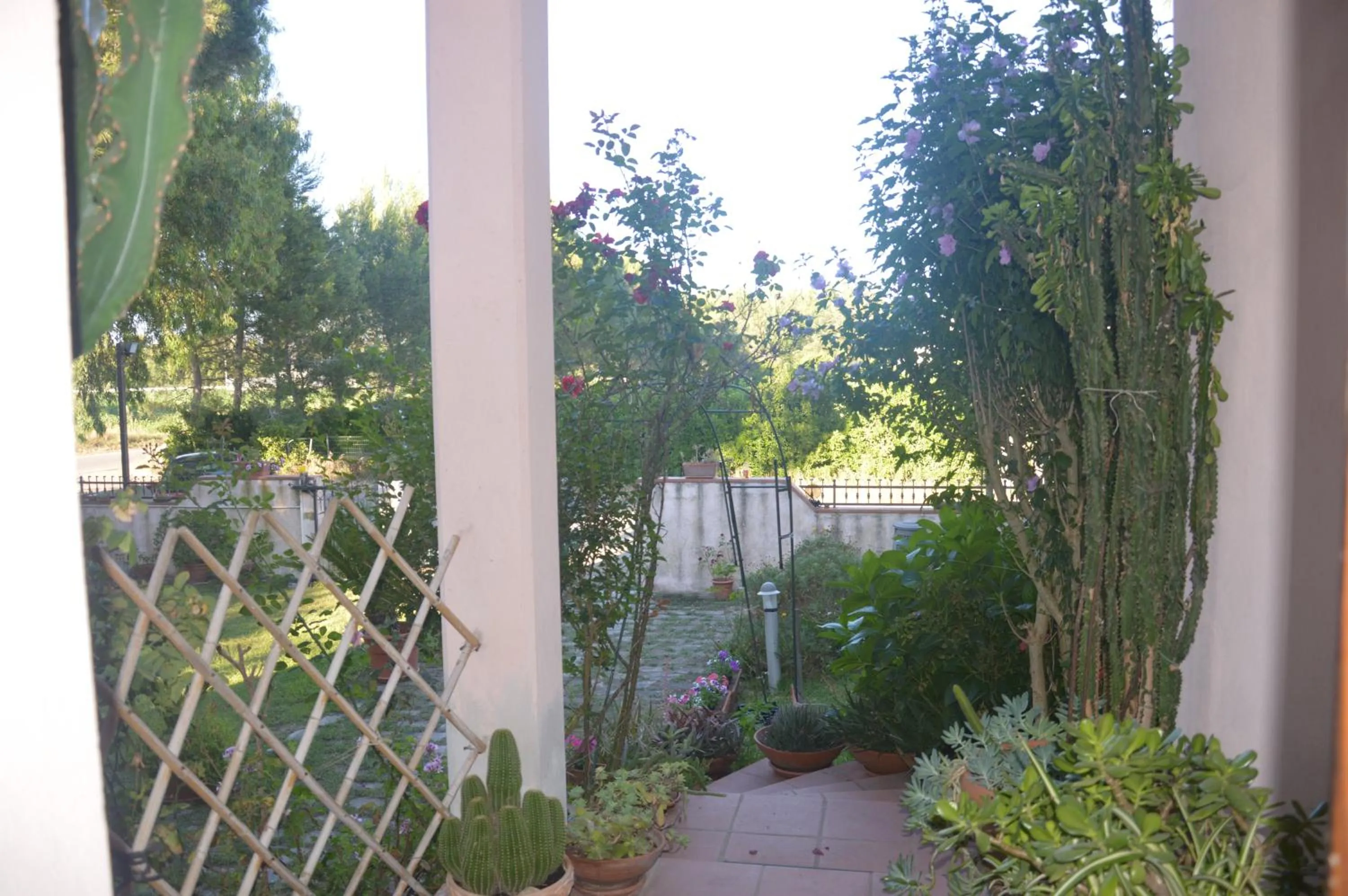 Bird's eye view in B&B Fra e Fe