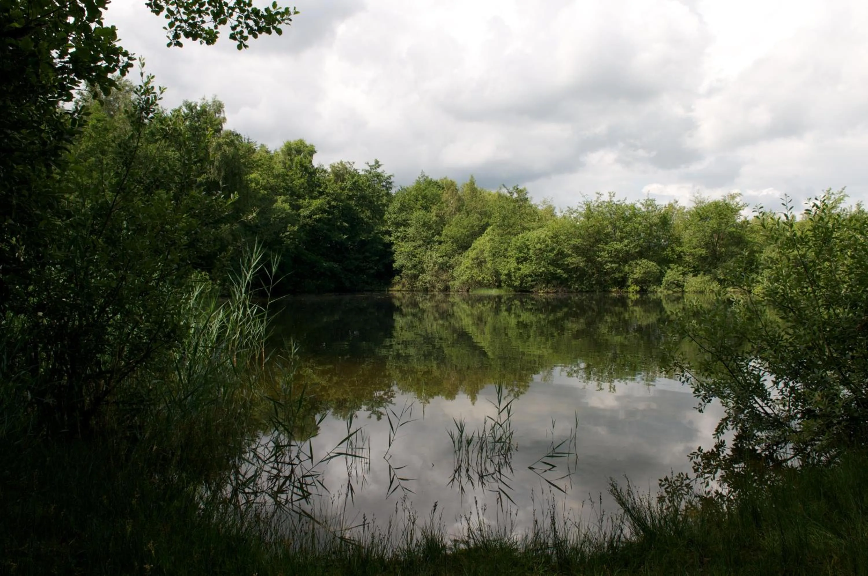 Garden in Nymarksminde