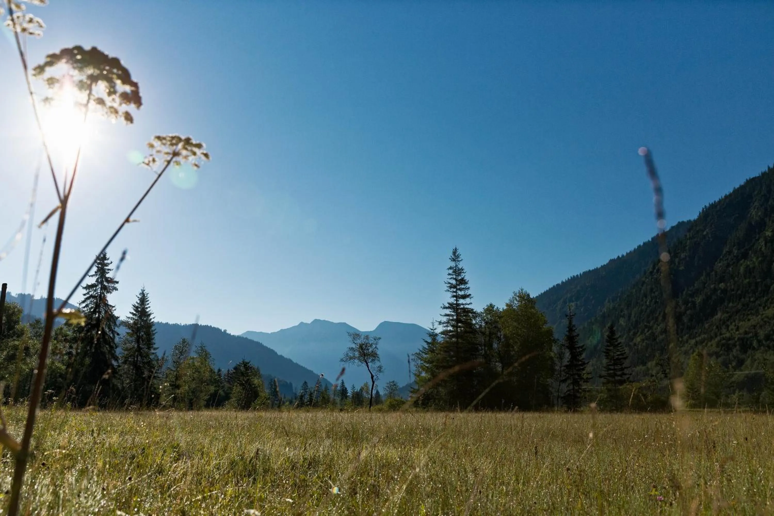 Natural landscape in Alpen Gästehaus