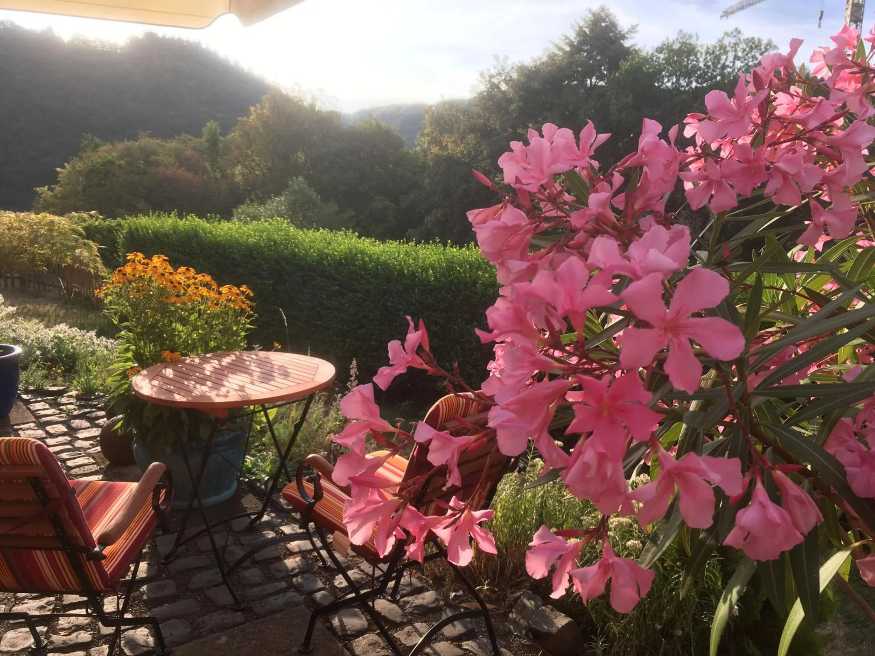 Garden in Landhotel Pension Haus Sonneck