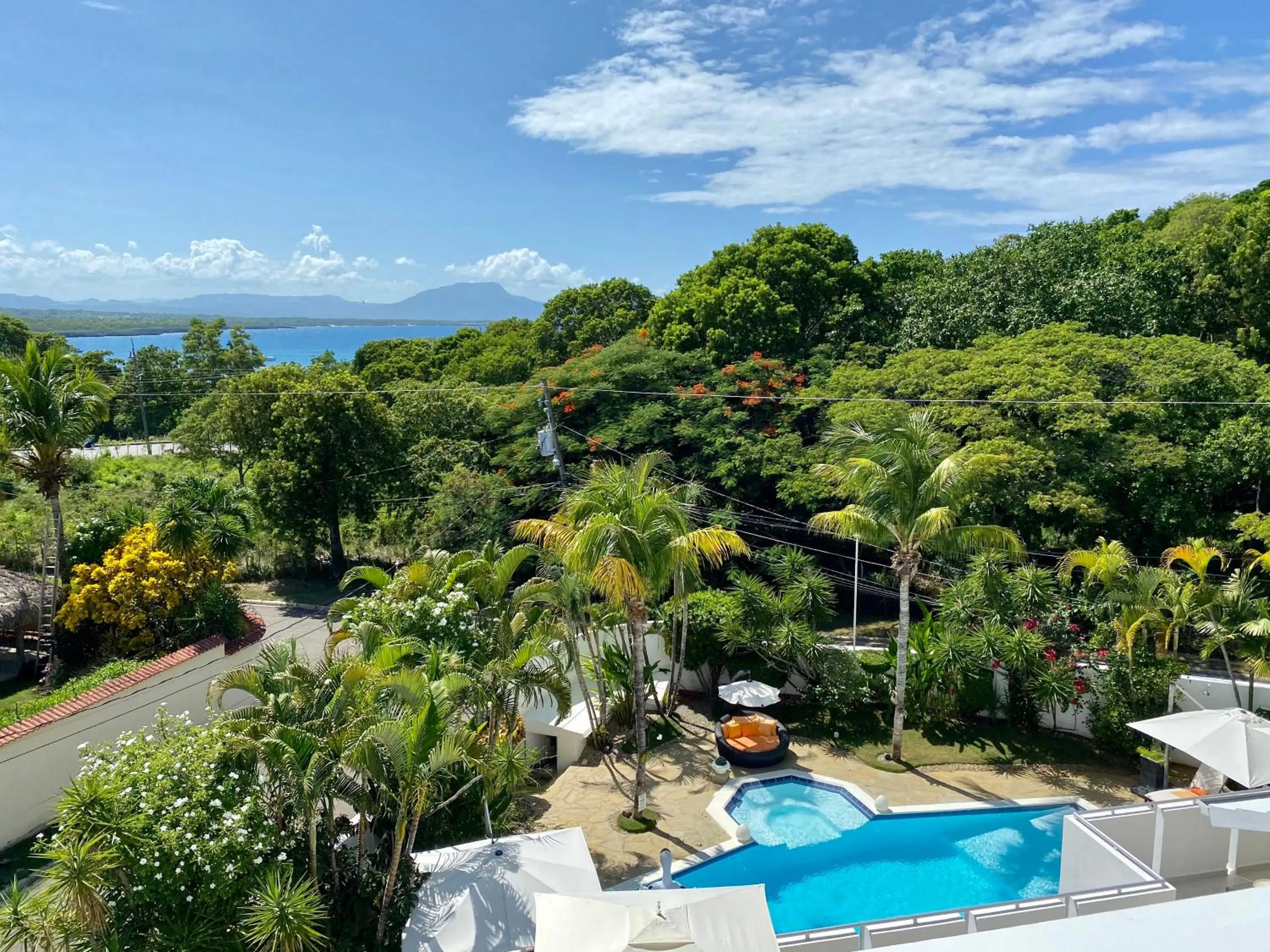 Garden in Casa Veintiuno