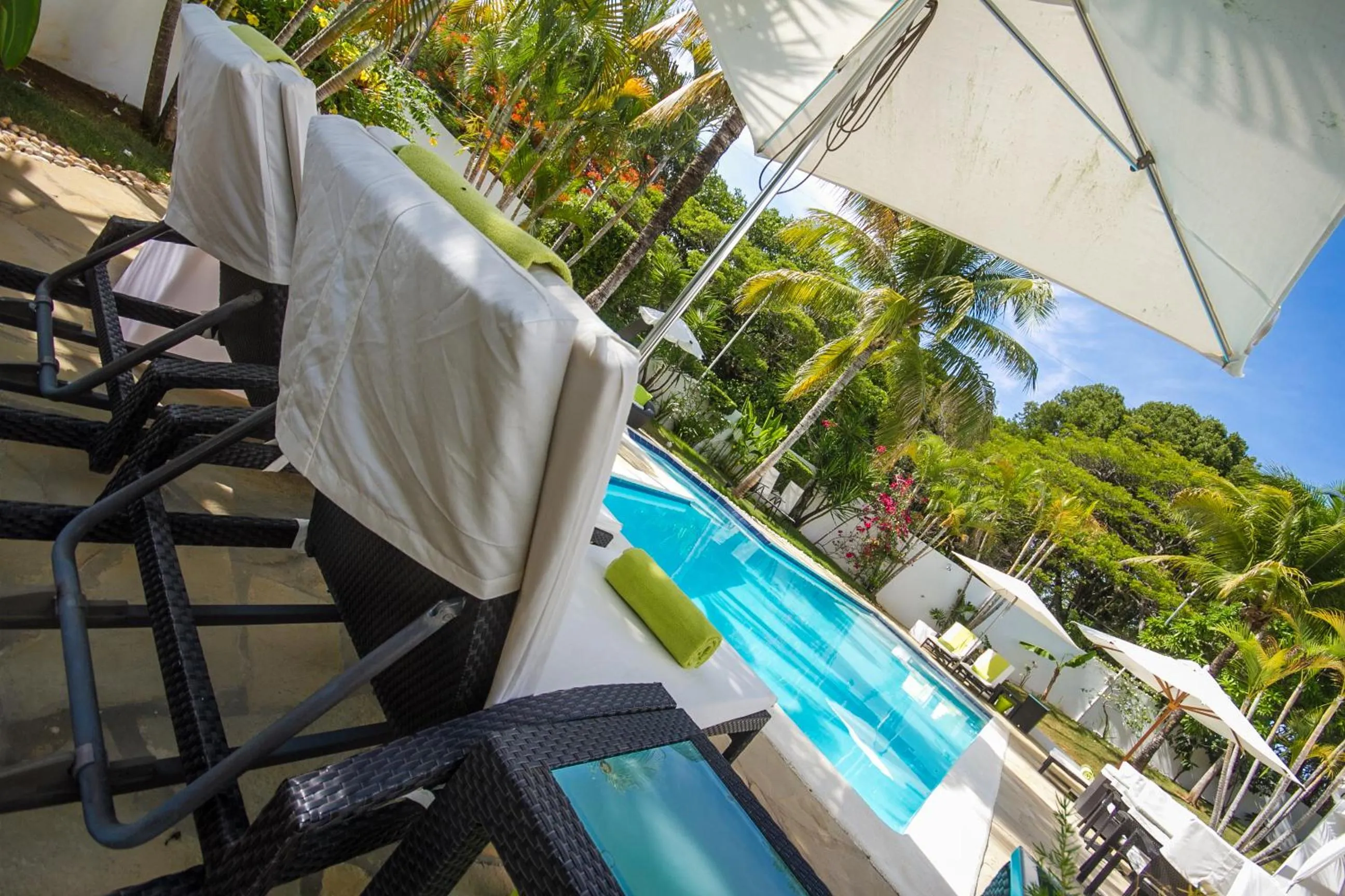 Garden in Casa Veintiuno