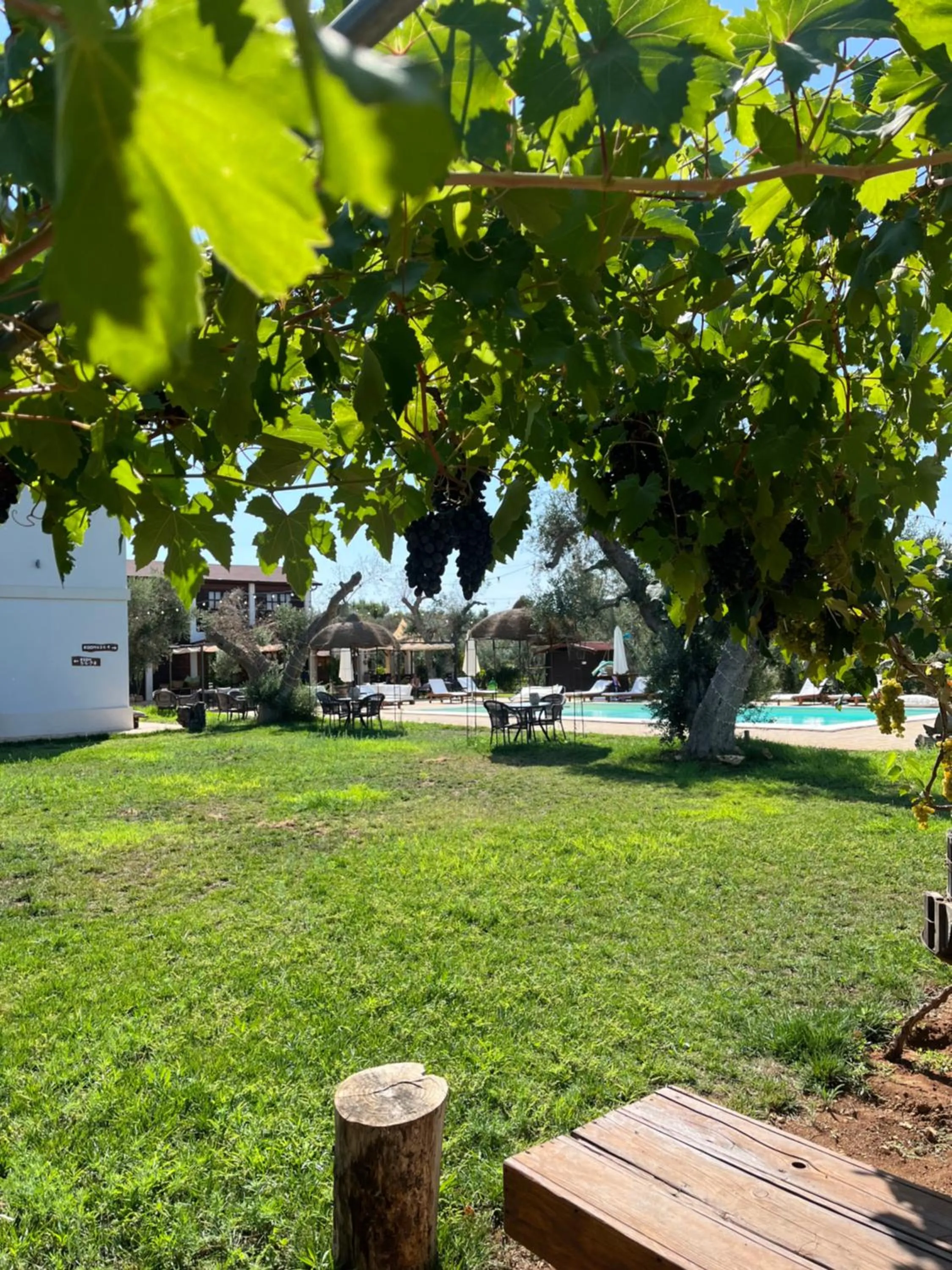 Natural landscape in Li Canali Reali