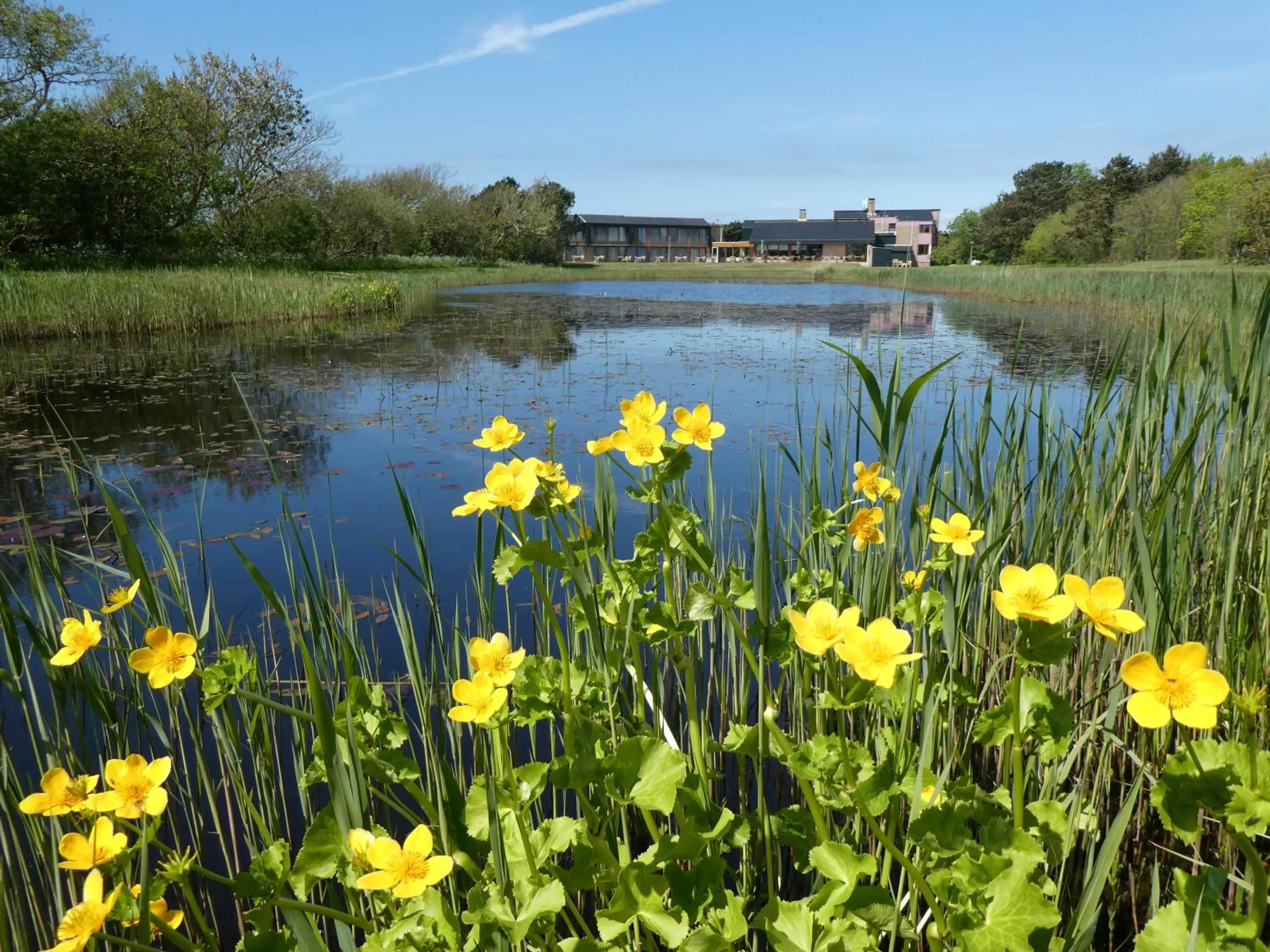 Day in Strandhotel de Horn