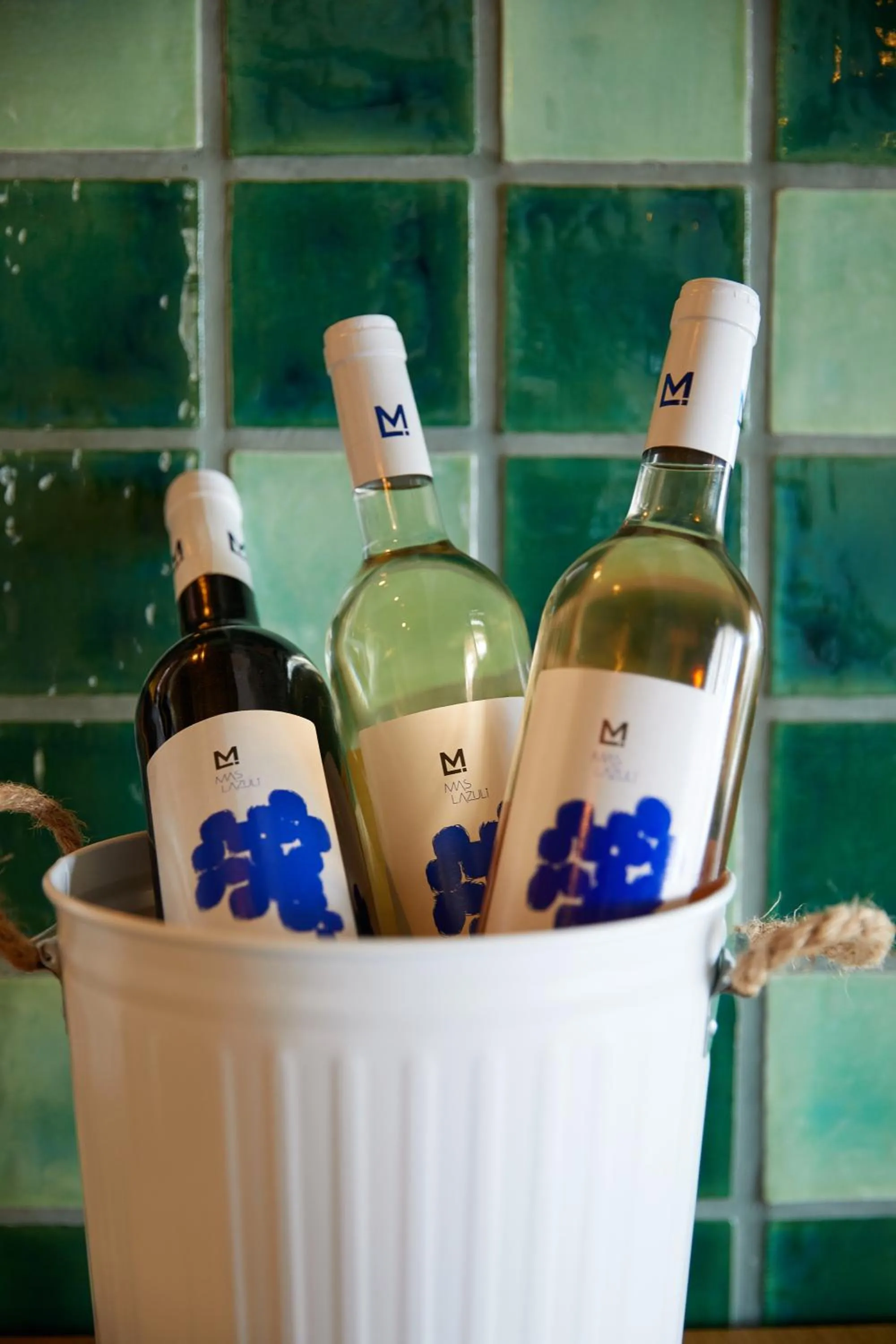 Hotel Mas Lazuli by Fimedhotels