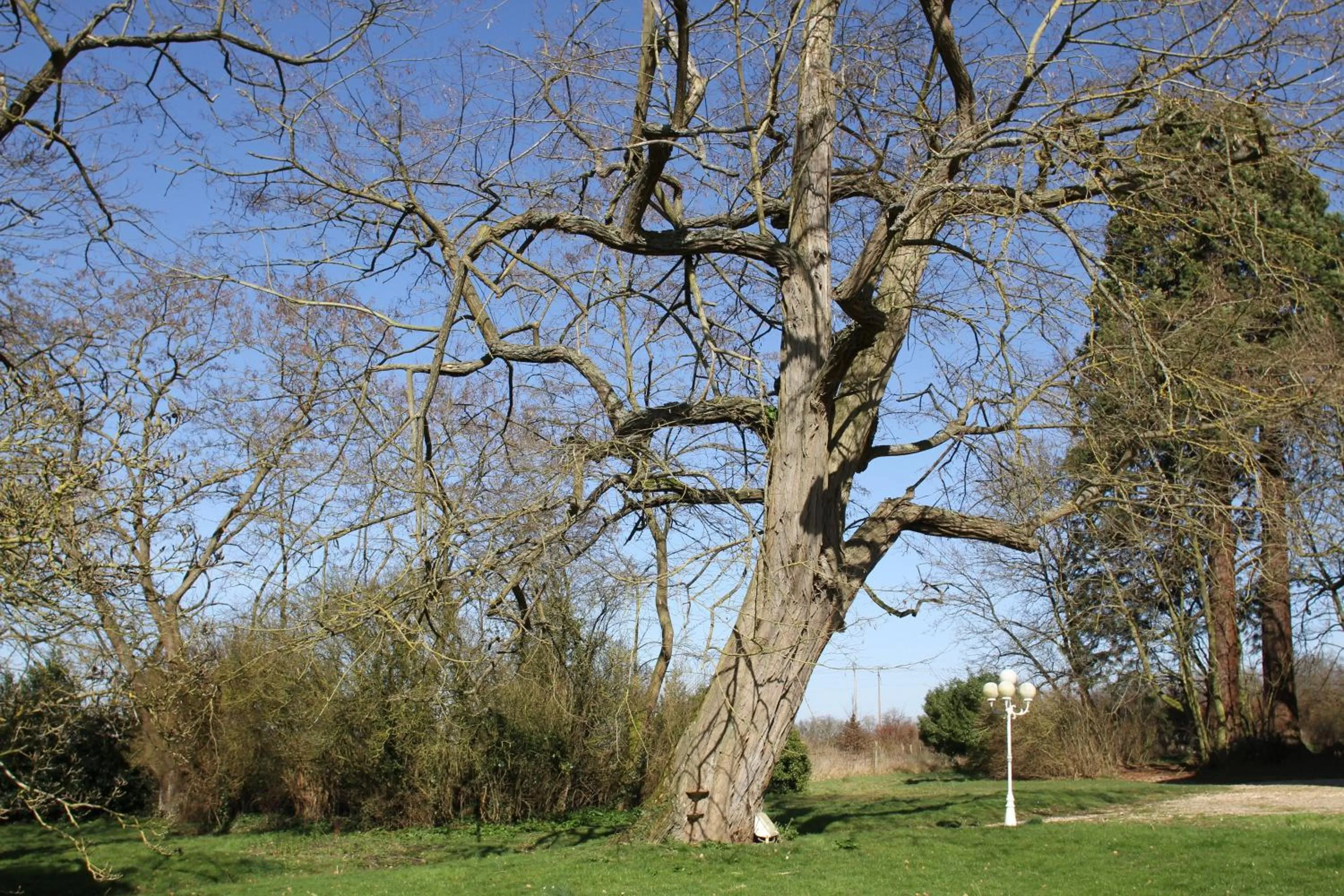 Garden in Château de la Folie