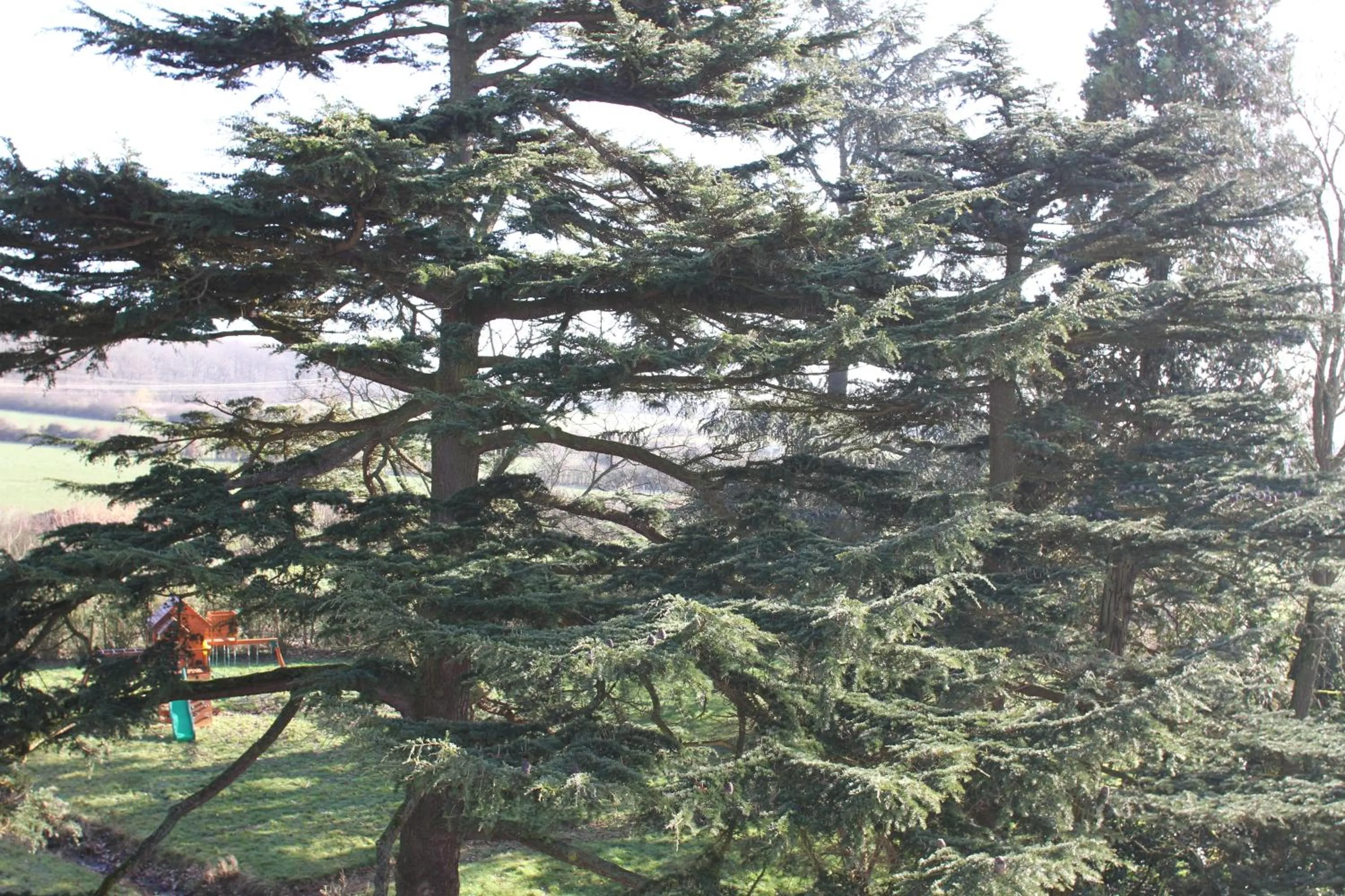 Garden in Château de la Folie