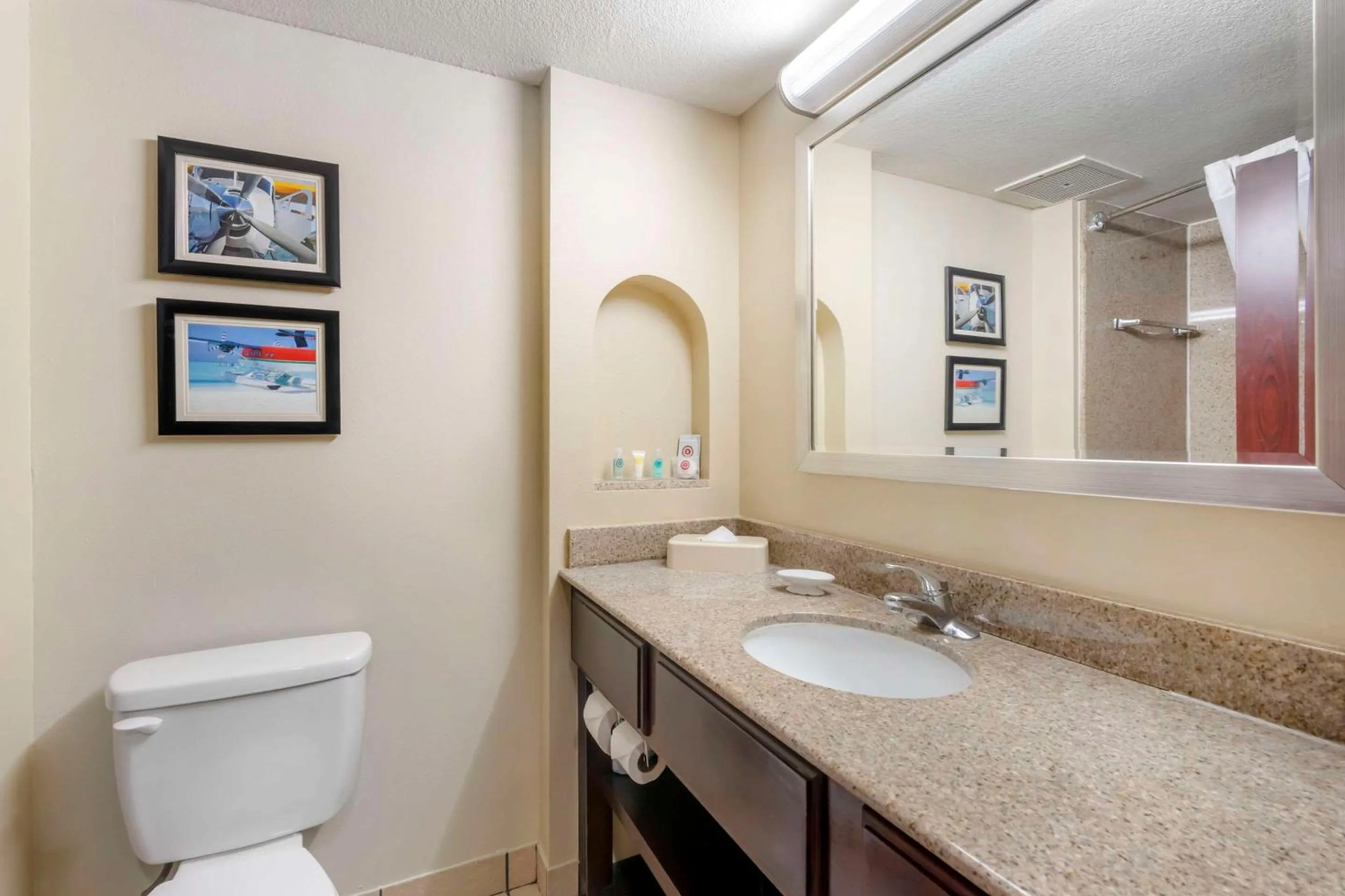 Bedroom in Comfort Inn & Suites Tavares North