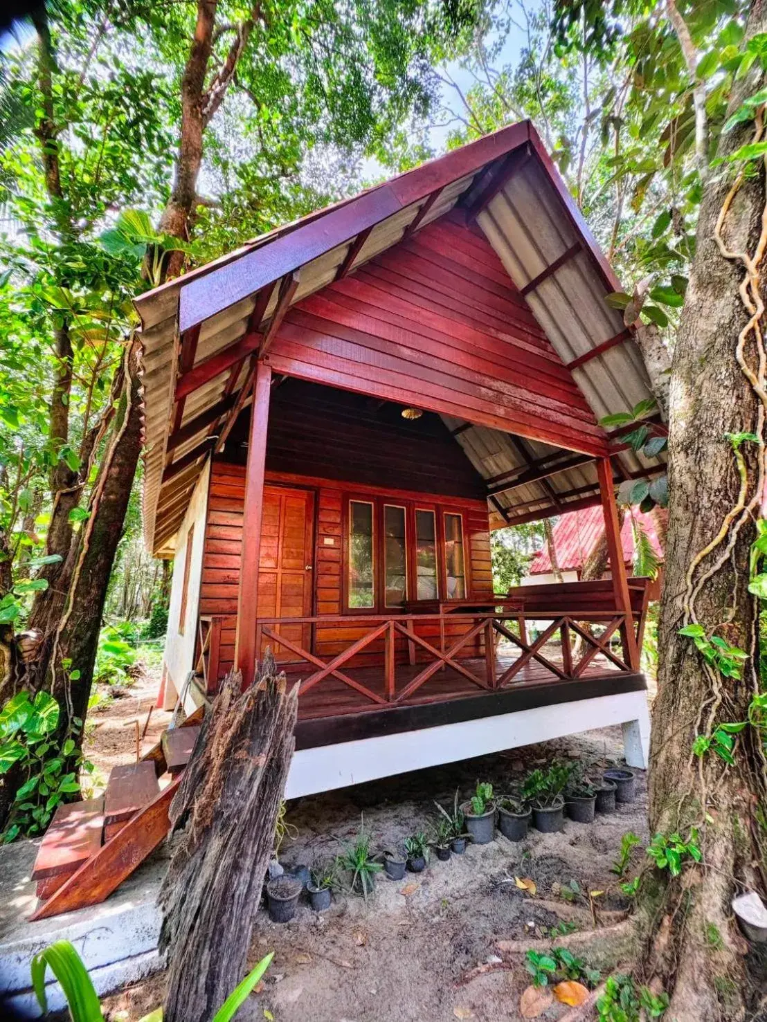 Superior Bungalow in Ziggy Stardust Superior Bungalow in Ziggy Stardust