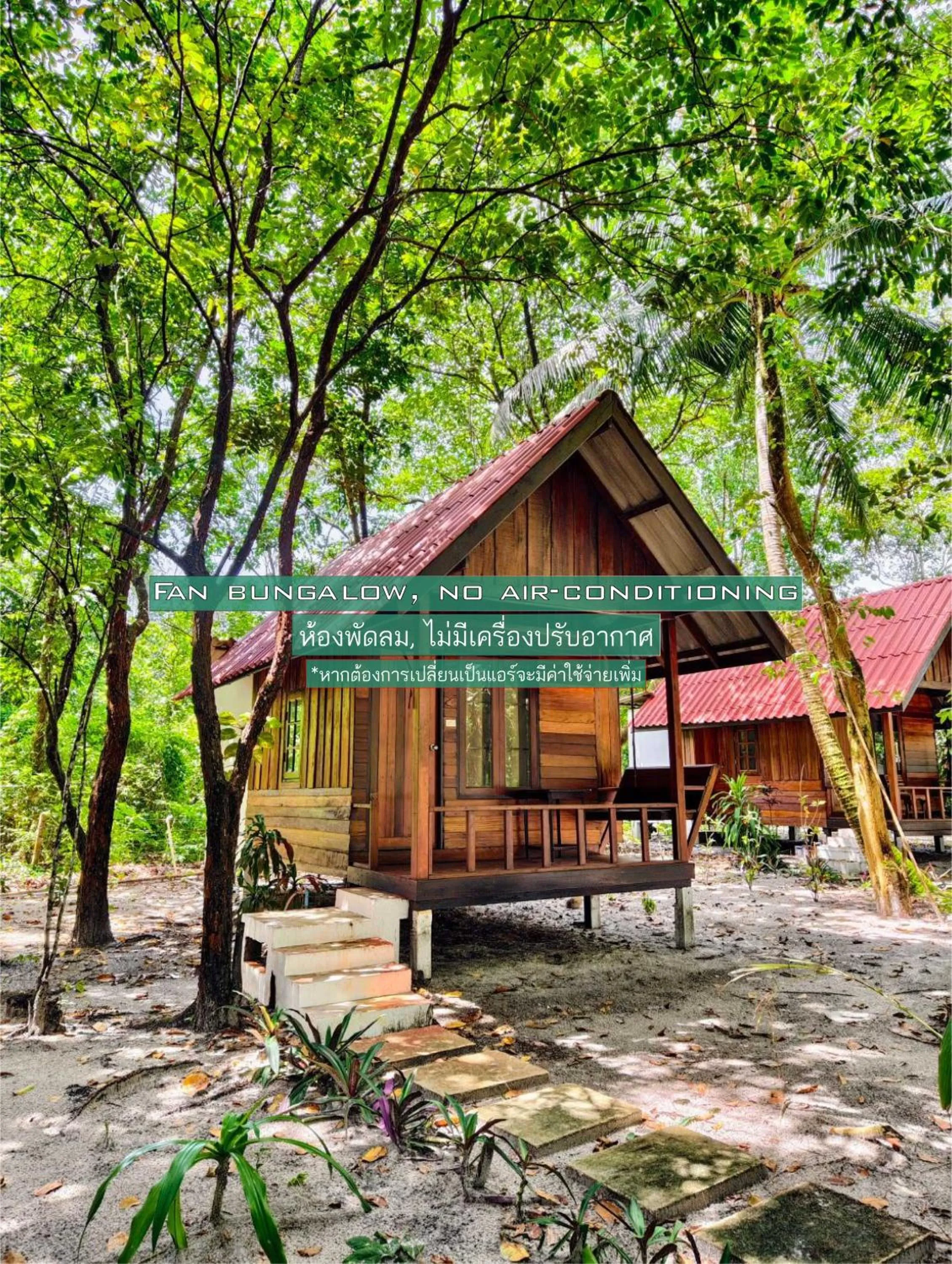 Property building in Ziggy Stardust