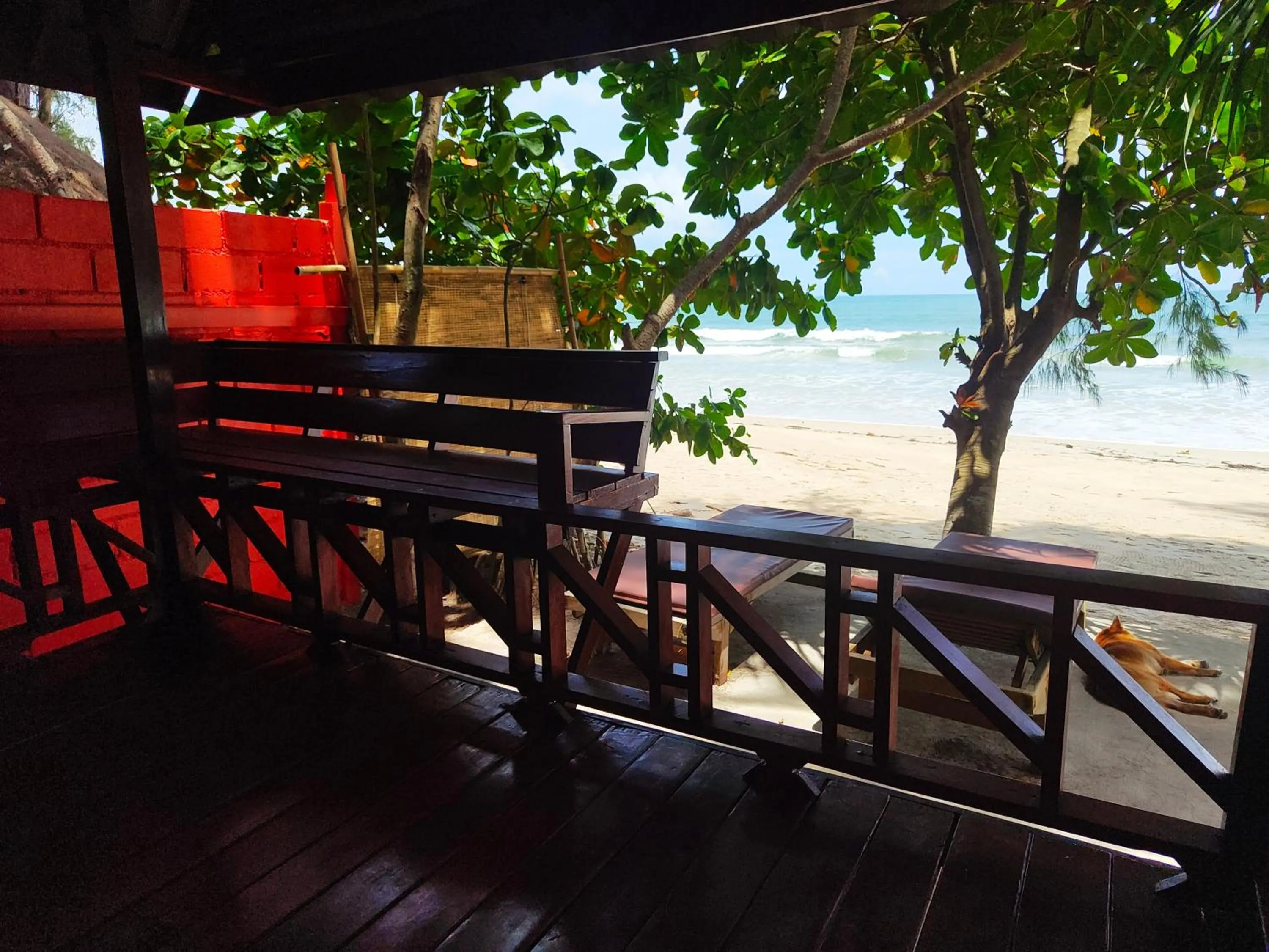 Patio in Ziggy Stardust