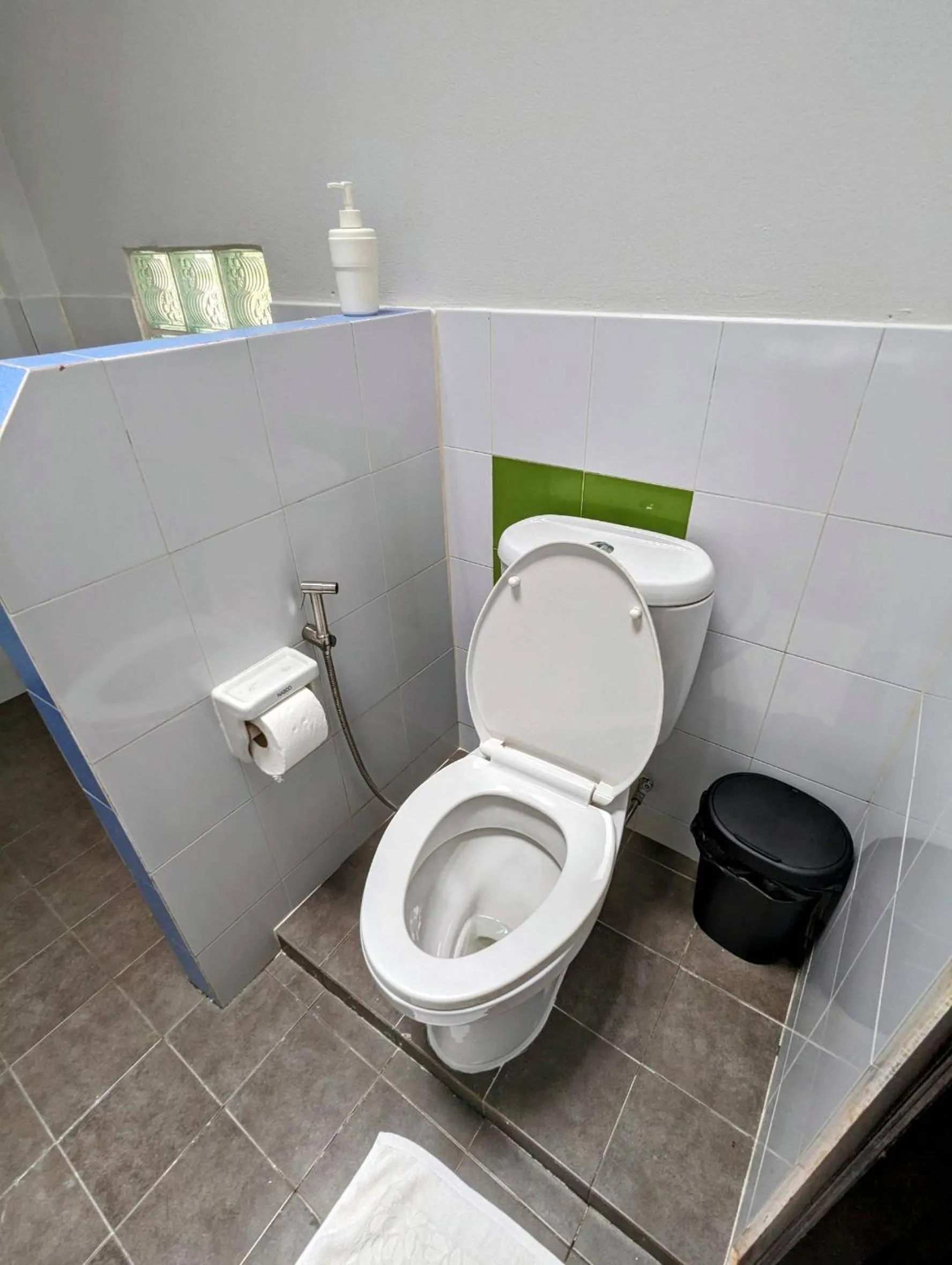 Toilet in Ziggy Stardust