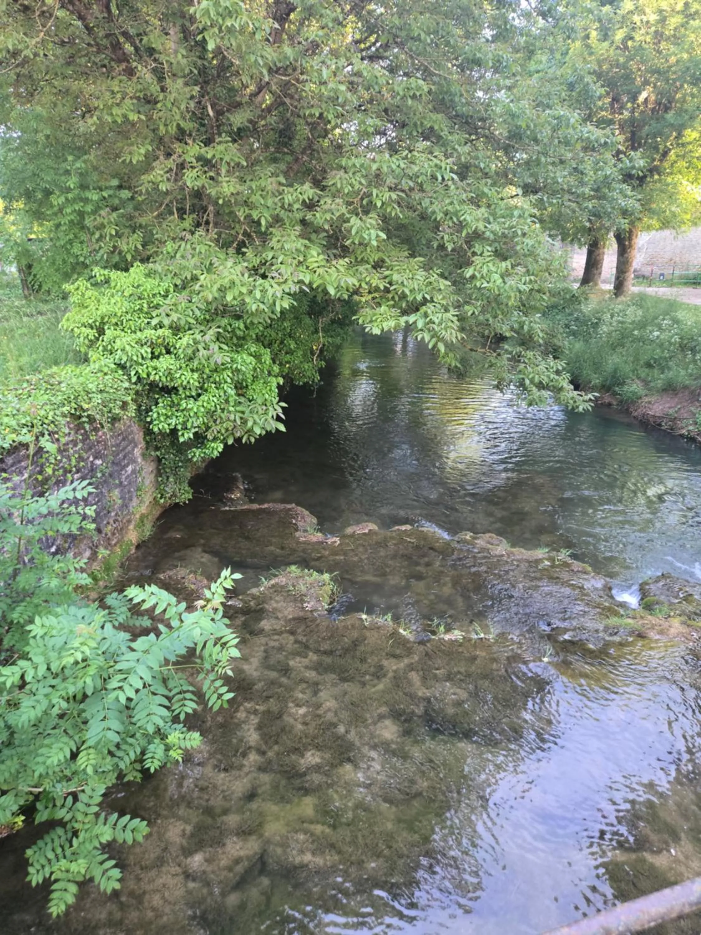 View (from property/room) in L'orée des 3 Rivières
