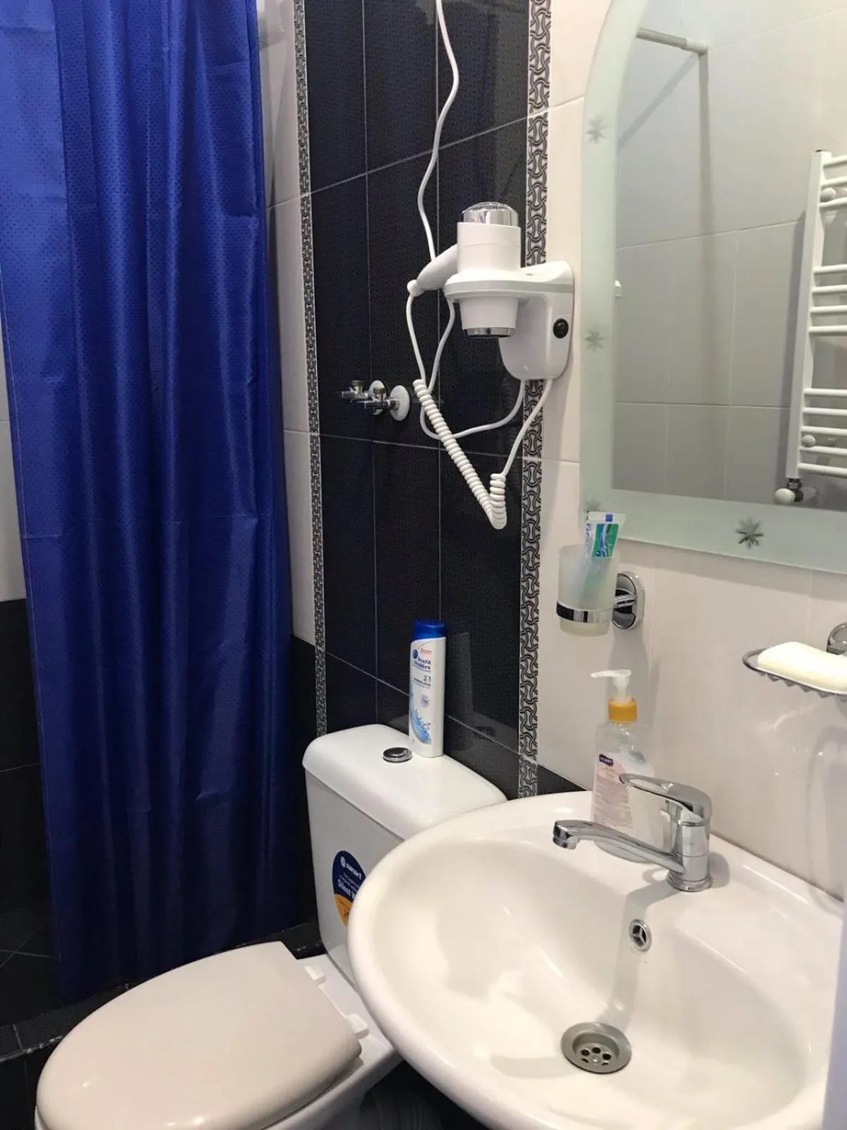 Max Hotel Gogi Alibegashvili