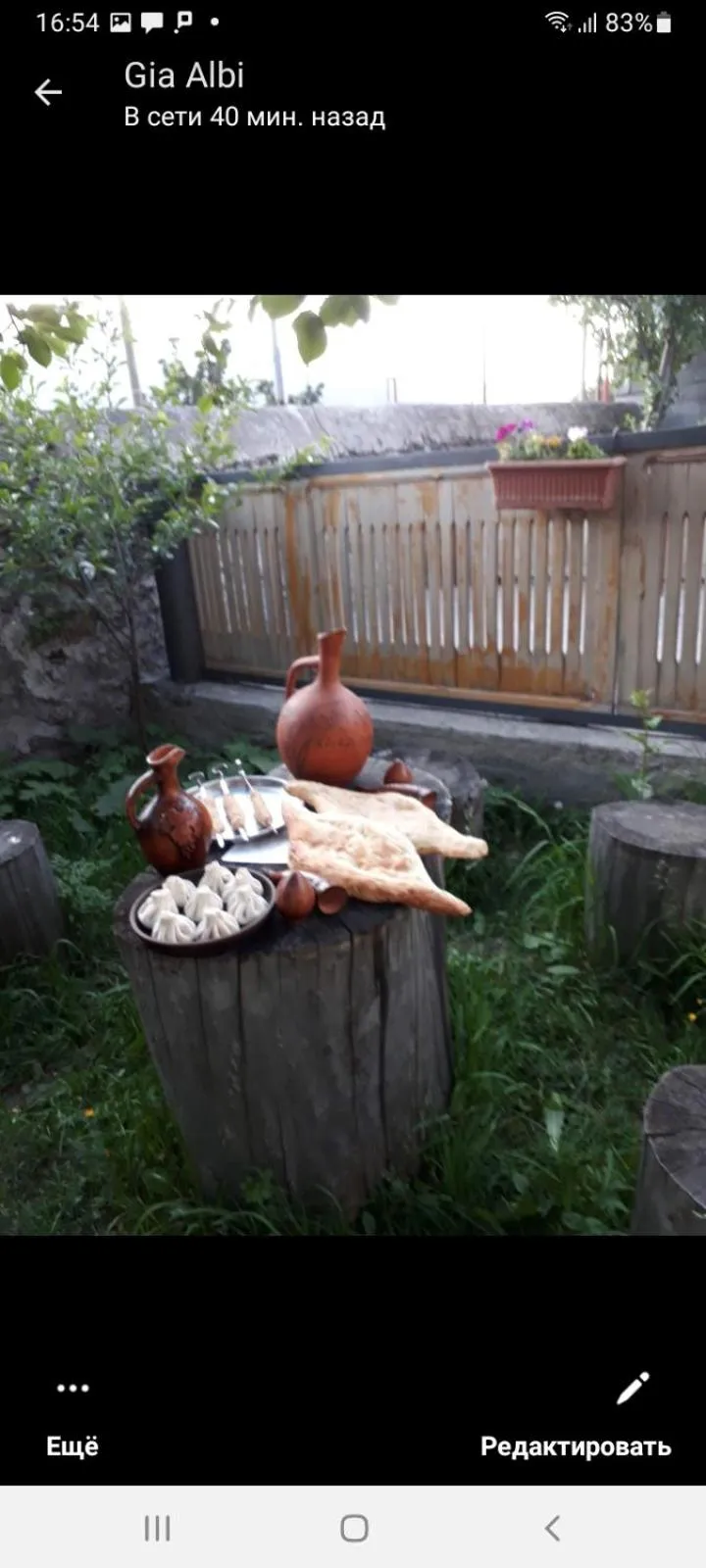 Max Hotel Gogi Alibegashvili