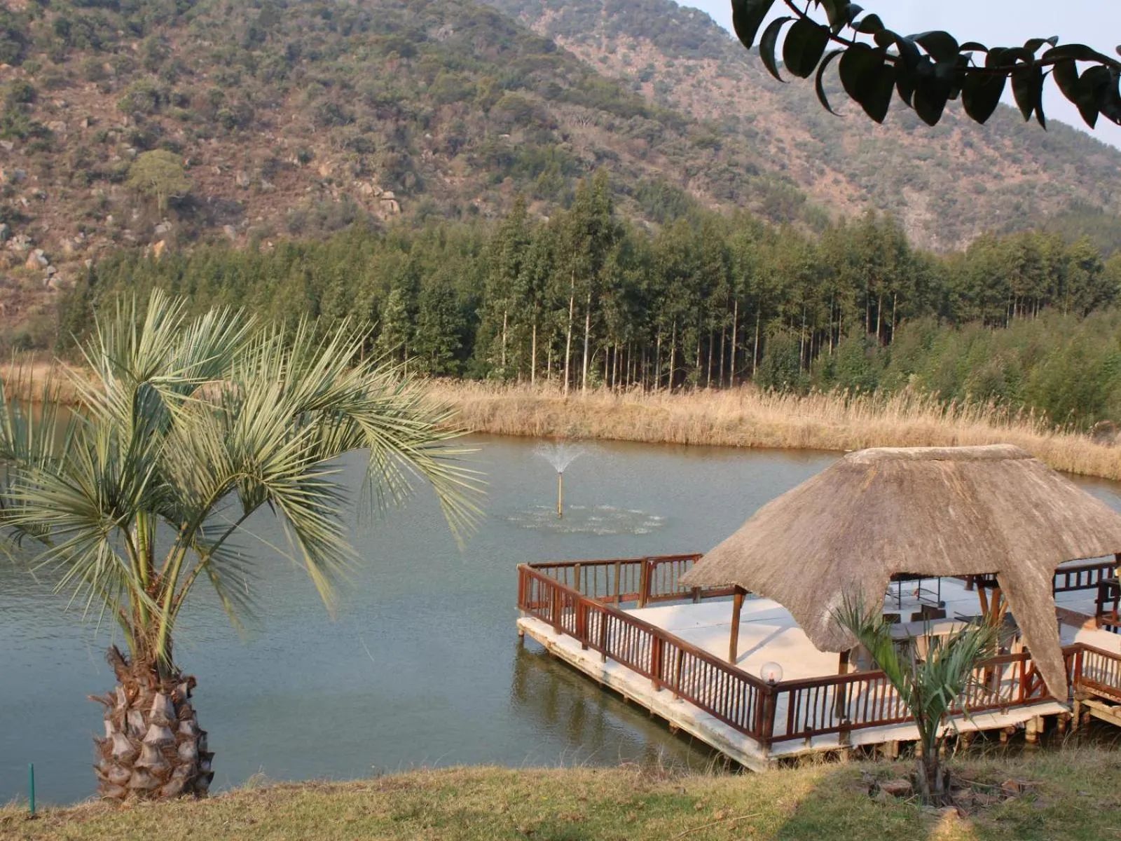 View (from property/room) in Emahlathini Guest Farm