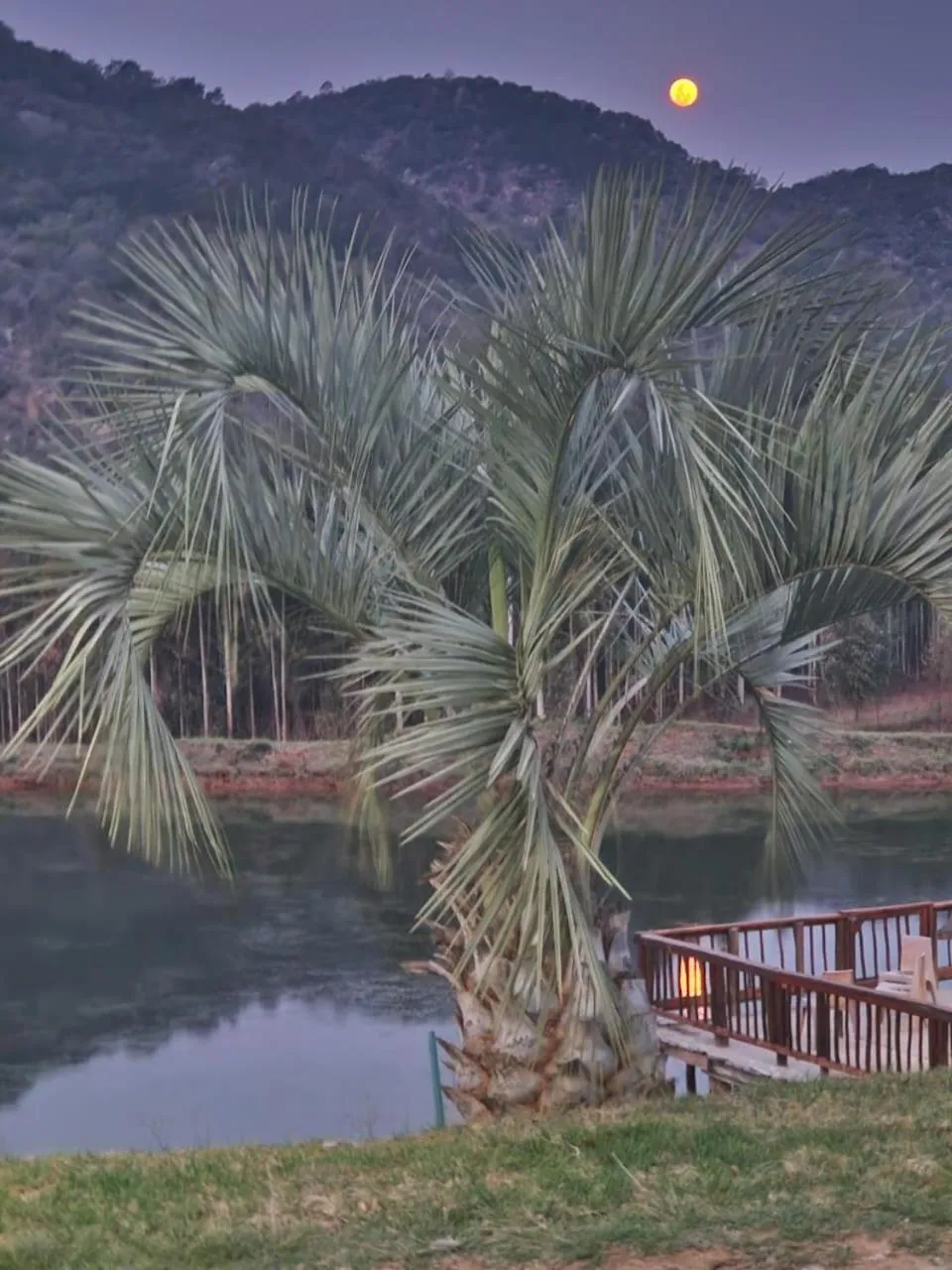 Emahlathini Guest Farm