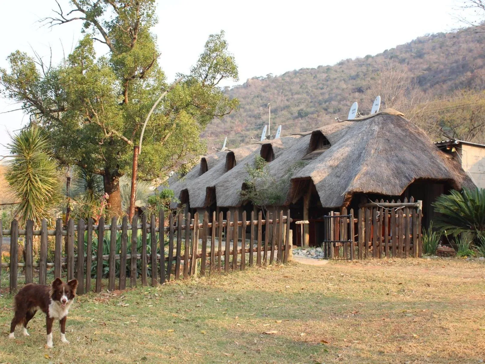 Property building in Emahlathini Guest Farm