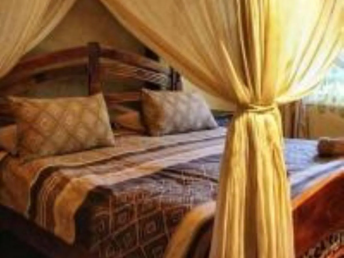 Photo of the whole room, Bed in Emahlathini Guest Farm