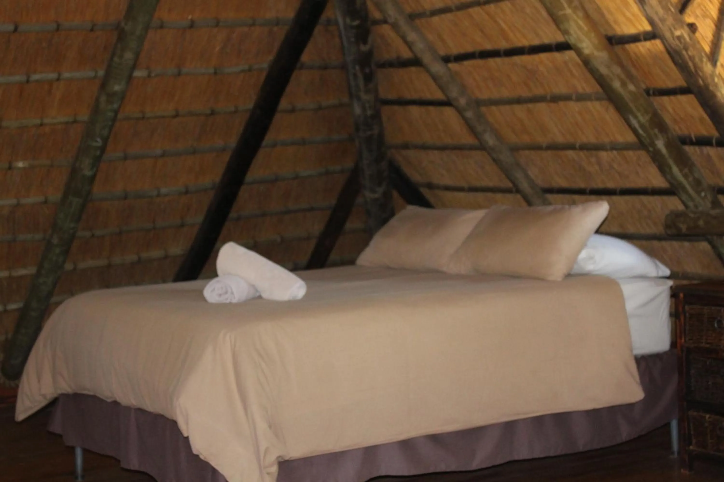 Bed in Emahlathini Guest Farm