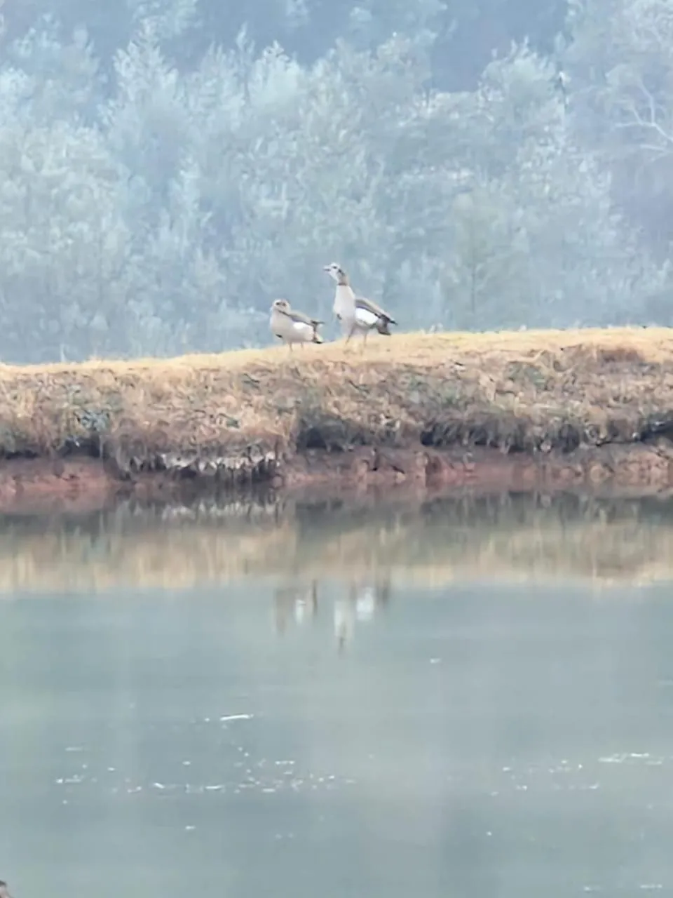 Emahlathini Guest Farm