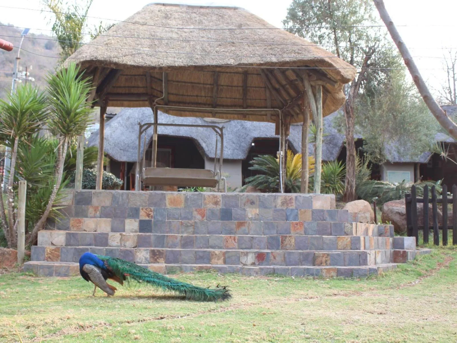Property building in Emahlathini Guest Farm