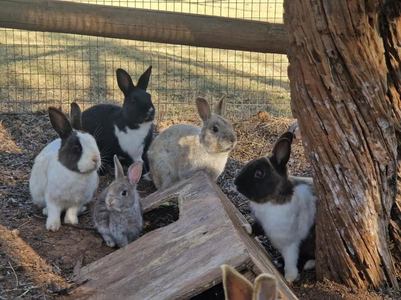 Emahlathini Guest Farm