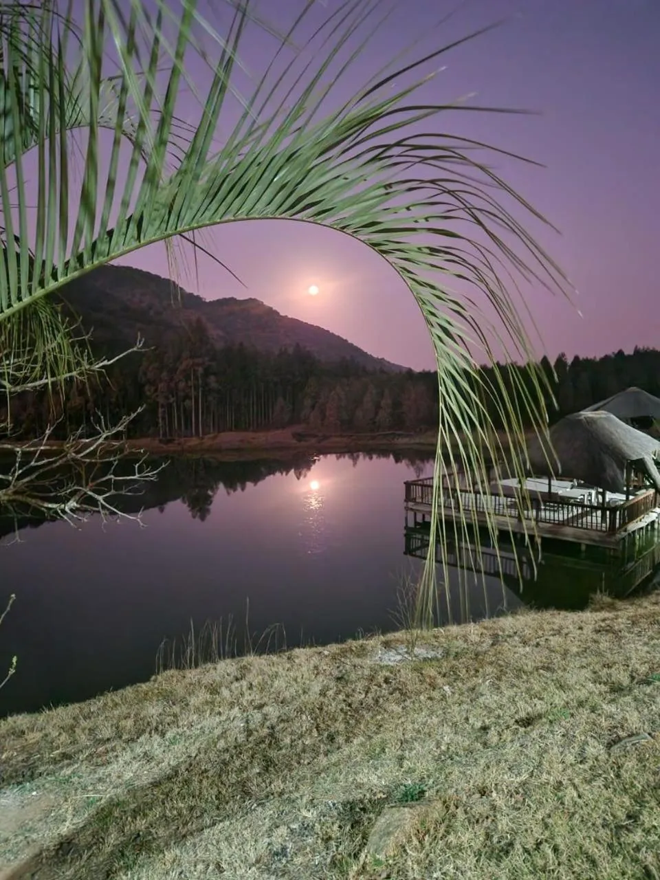 Emahlathini Guest Farm