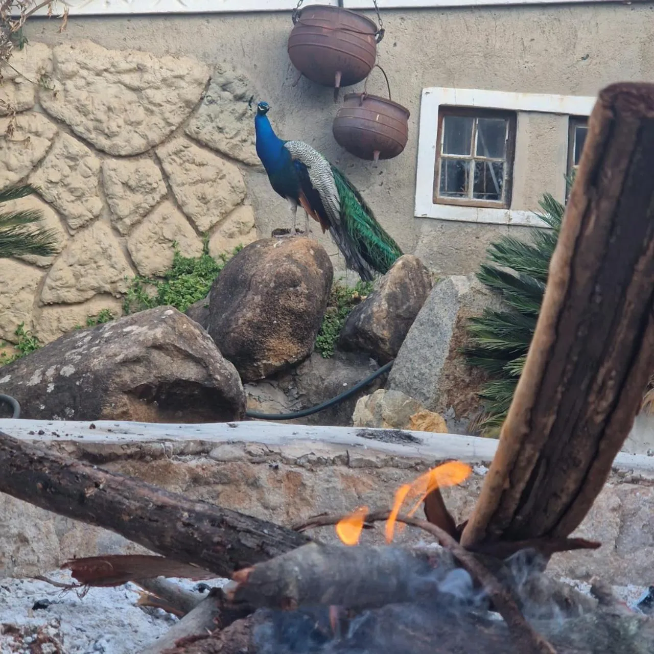 Emahlathini Guest Farm