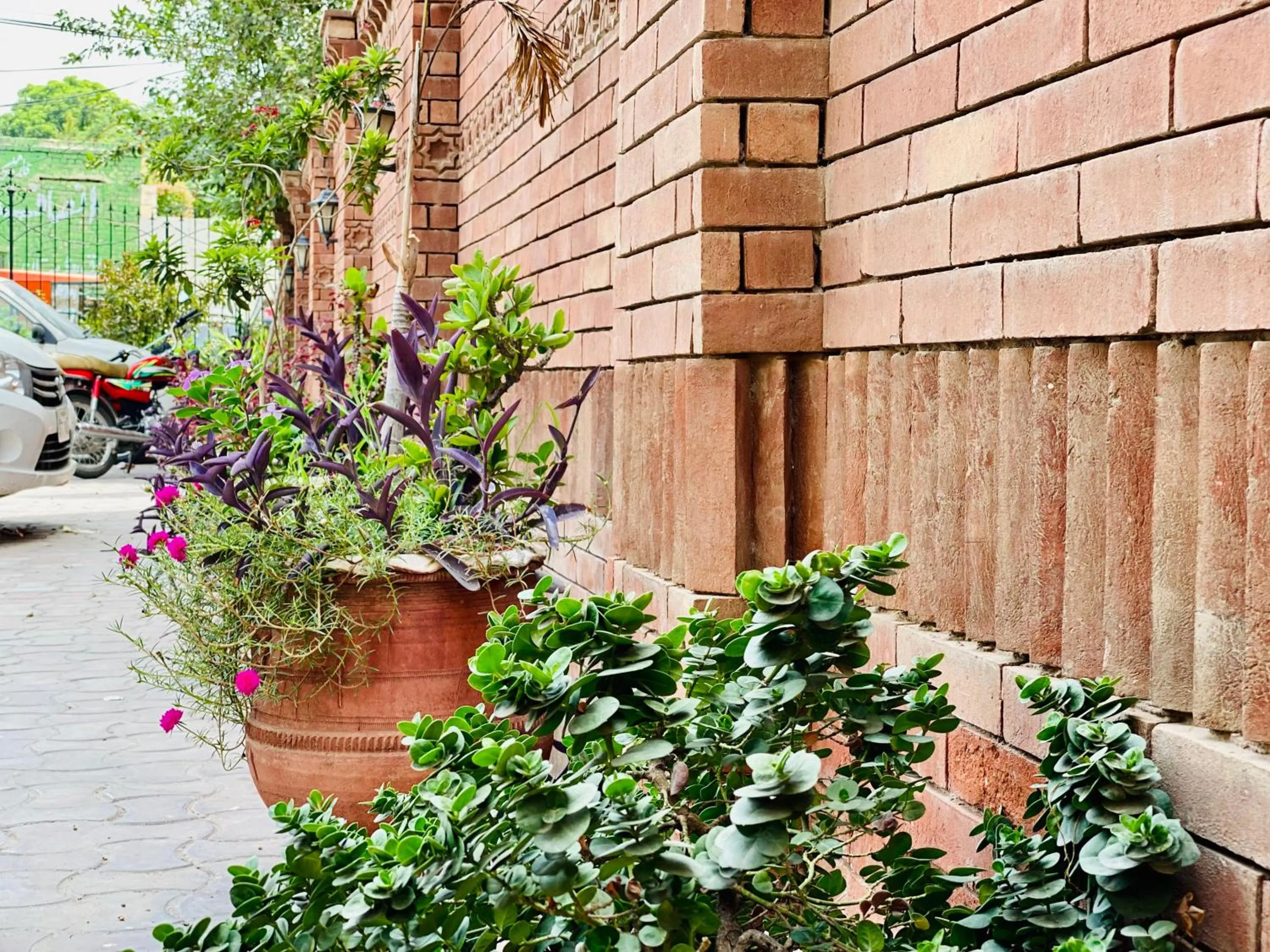 Spring in HOTEL ROYAL ONE