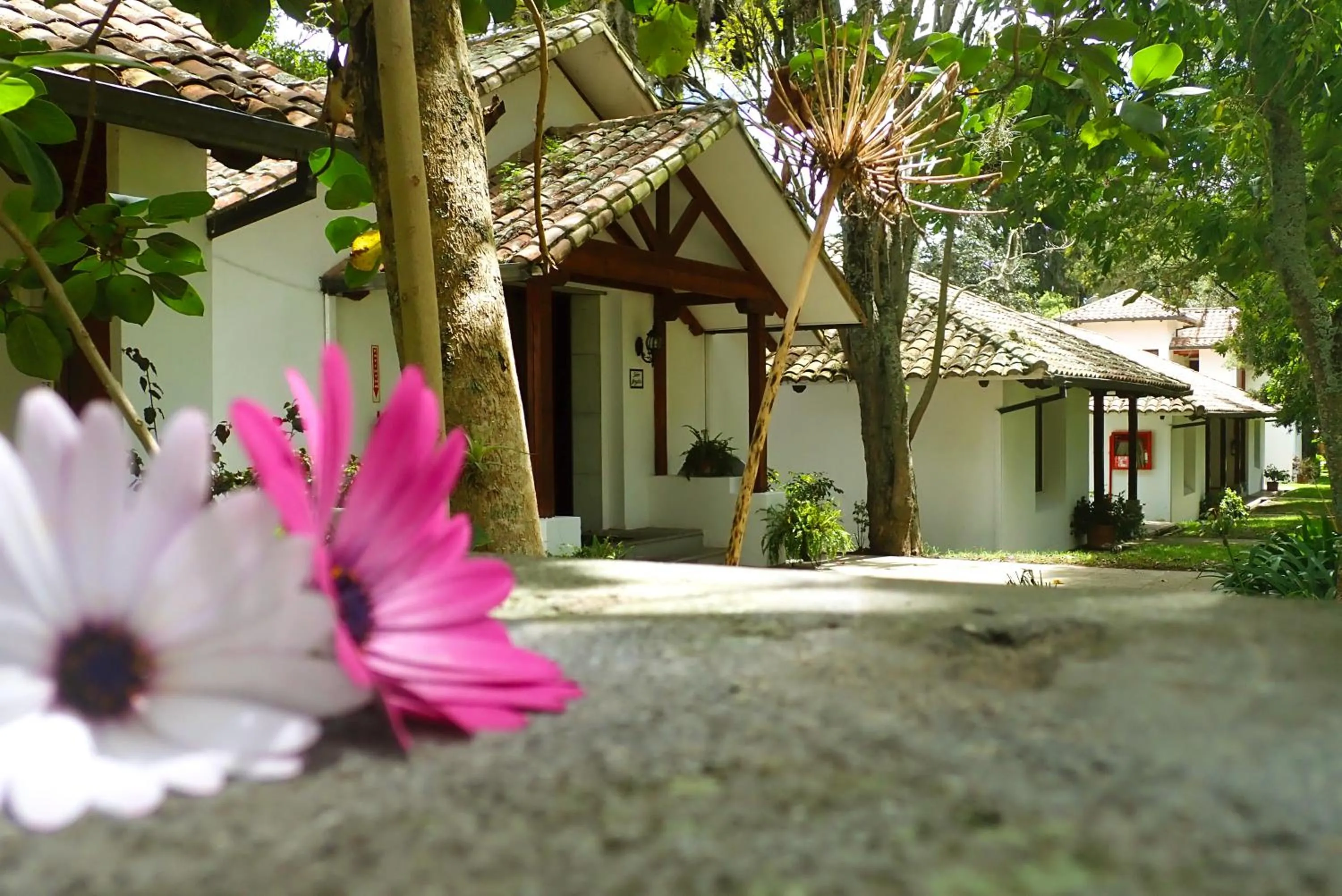 Property building in San Jose de Puembo Quito Airport, an Ascend Collection Hotel