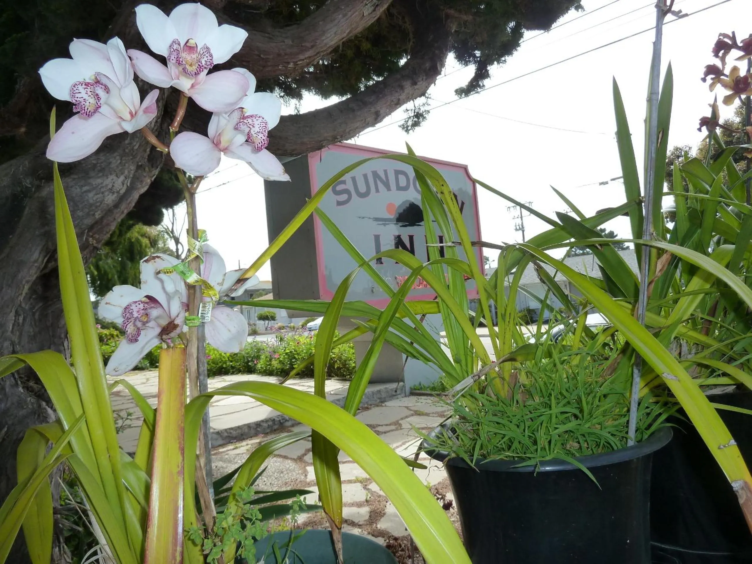 Facade/entrance in Sundown Inn of Morro Bay
