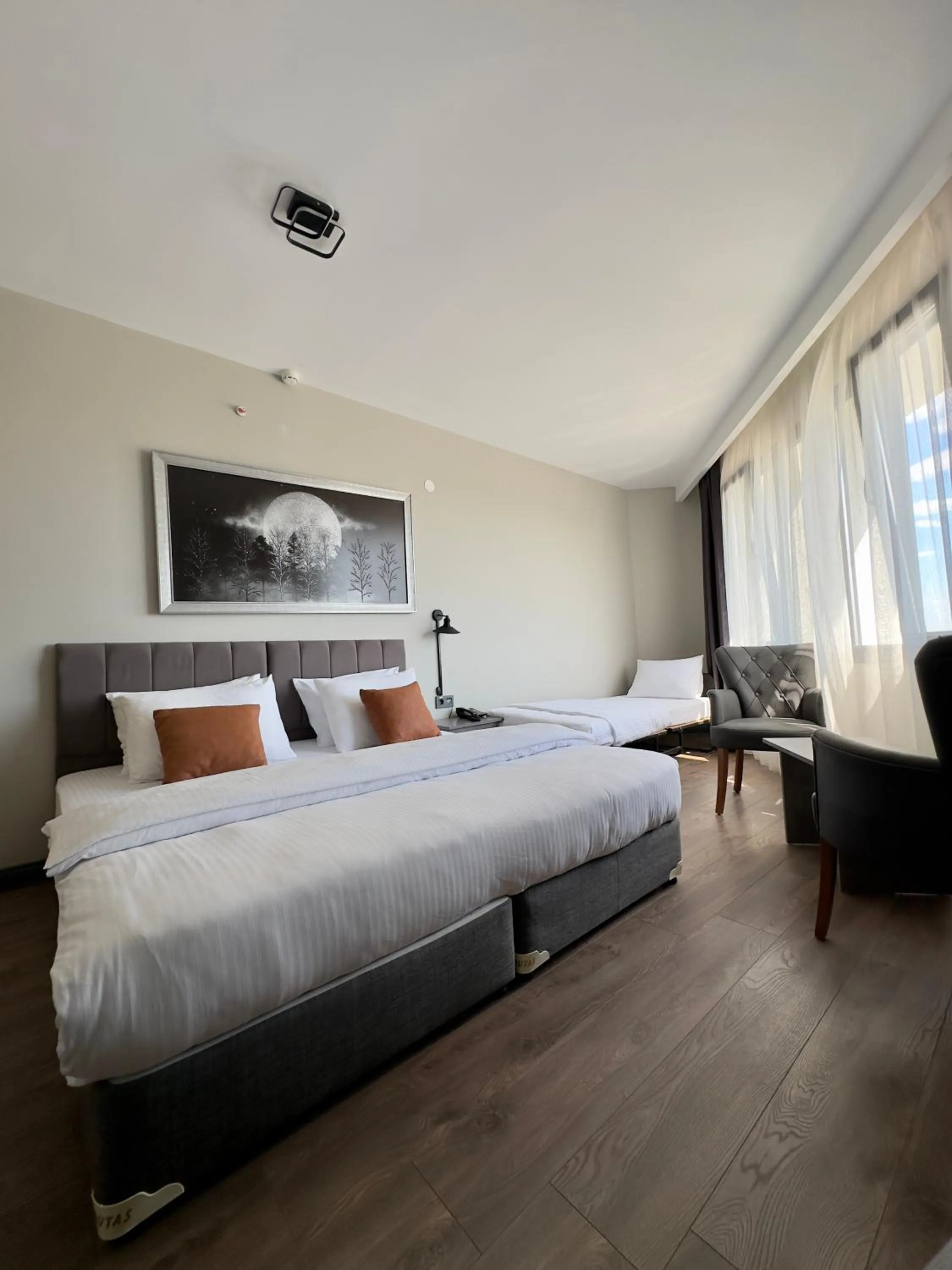 Photo of the whole room in Grand royal hotel