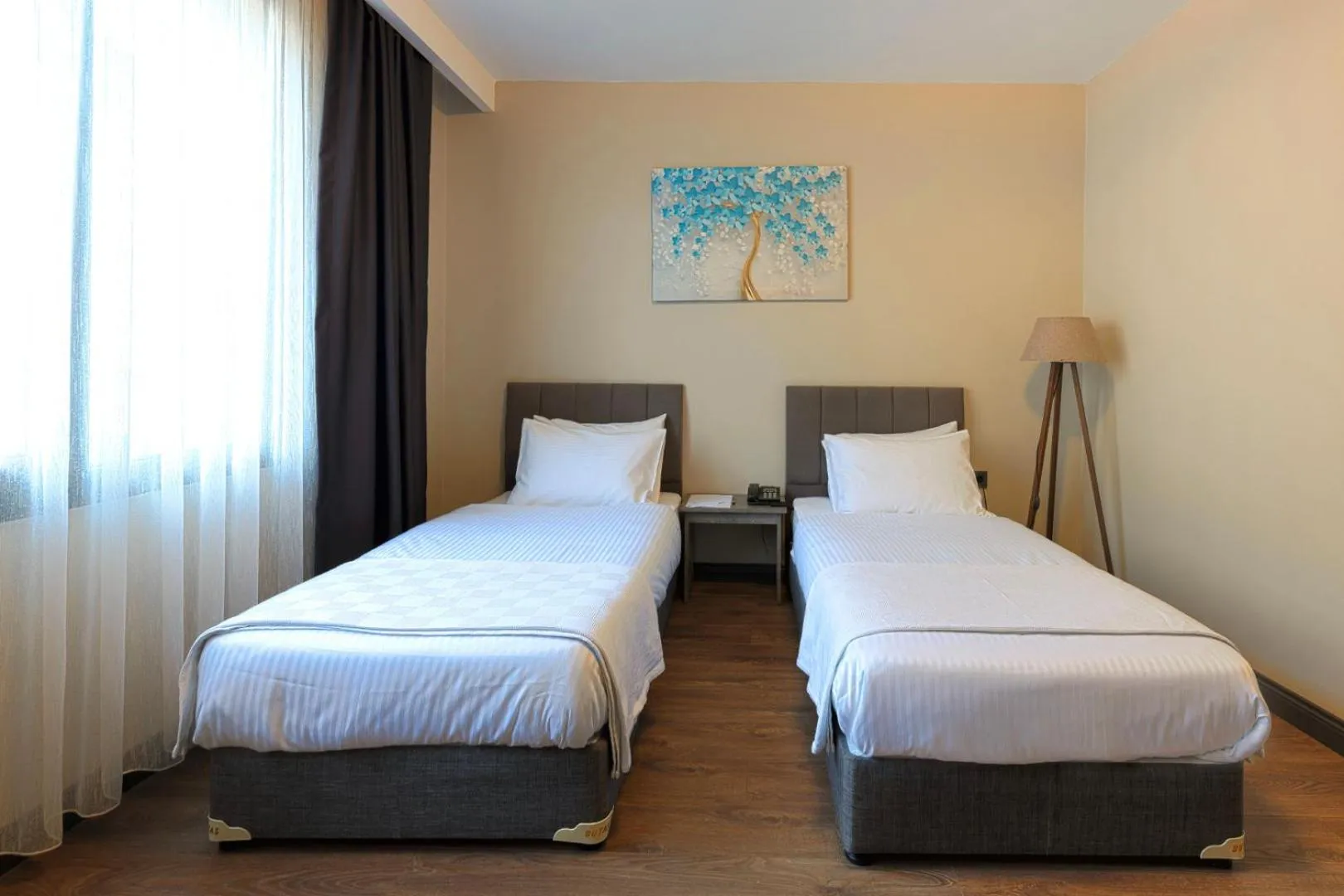 Photo of the whole room in Grand royal hotel