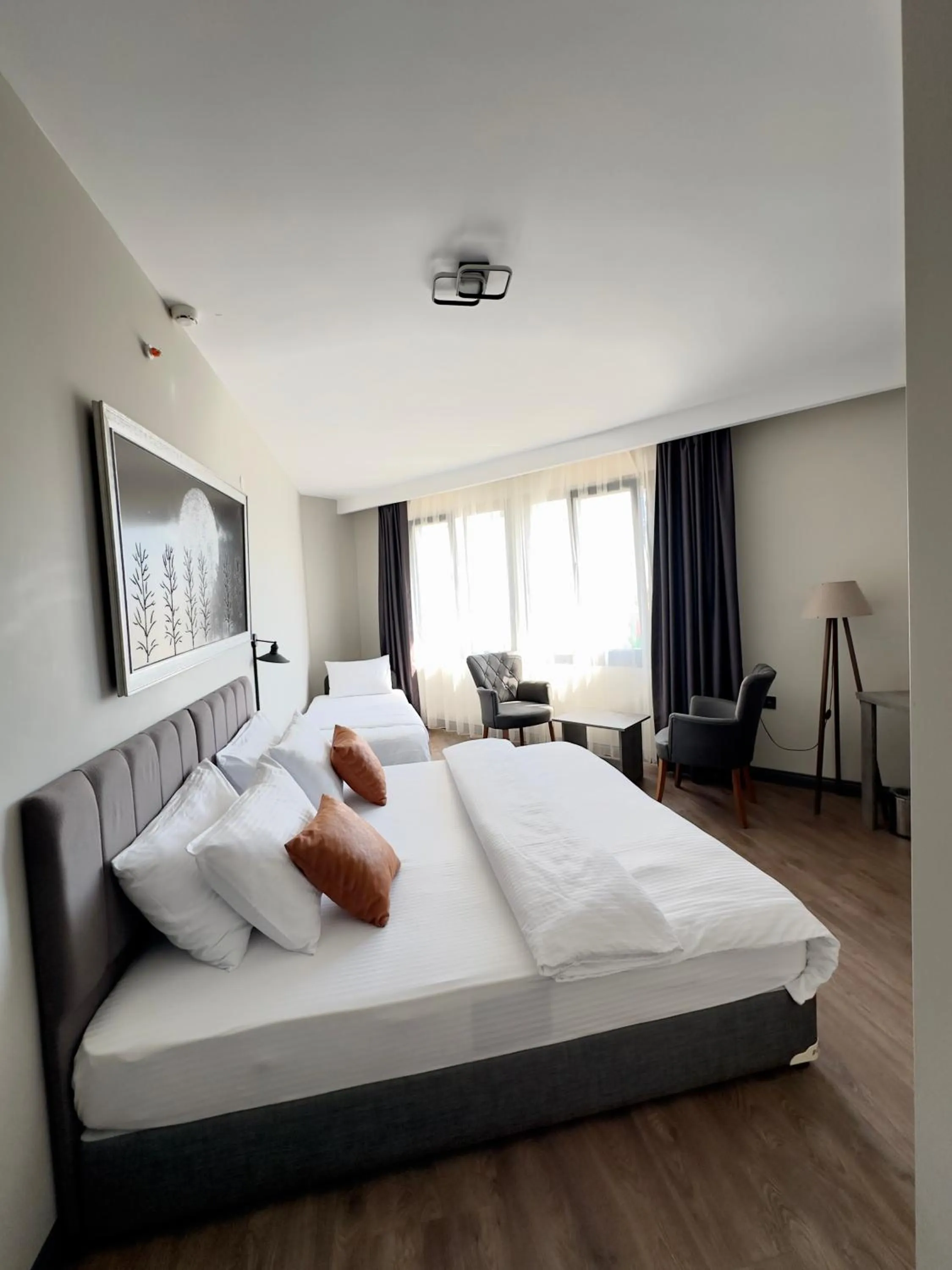 Photo of the whole room in Grand royal hotel