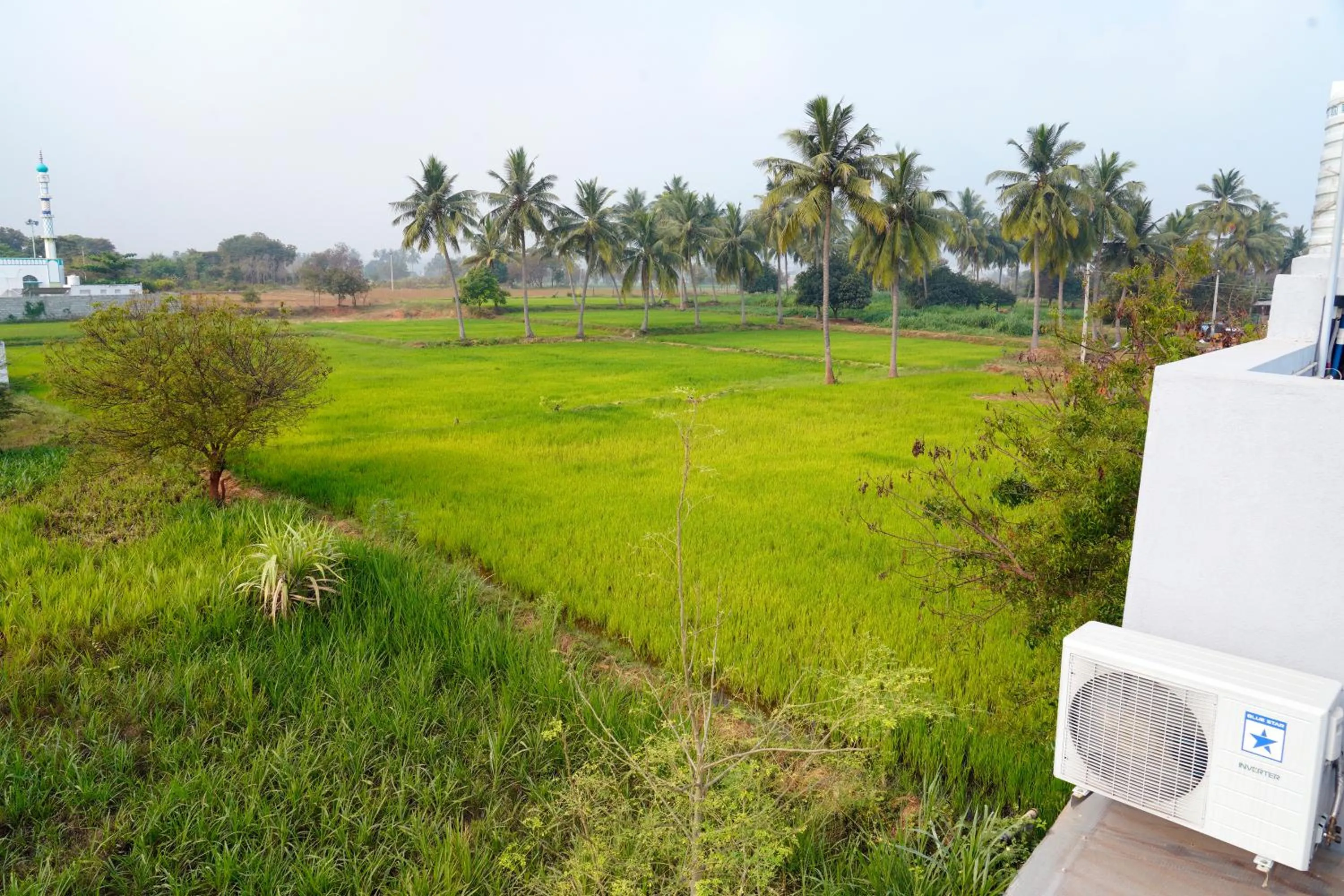 Spring in Sri Sakthi Residence