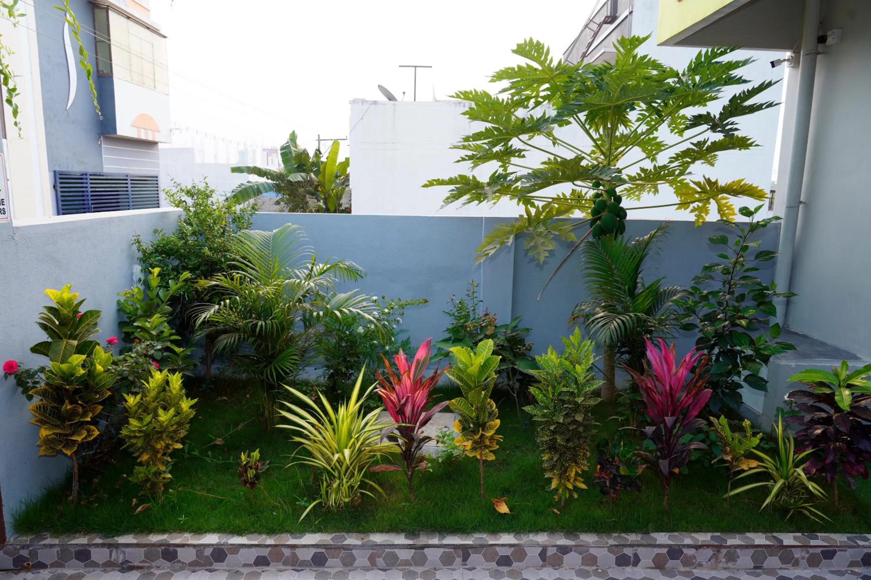 Garden in Sri Sakthi Residence
