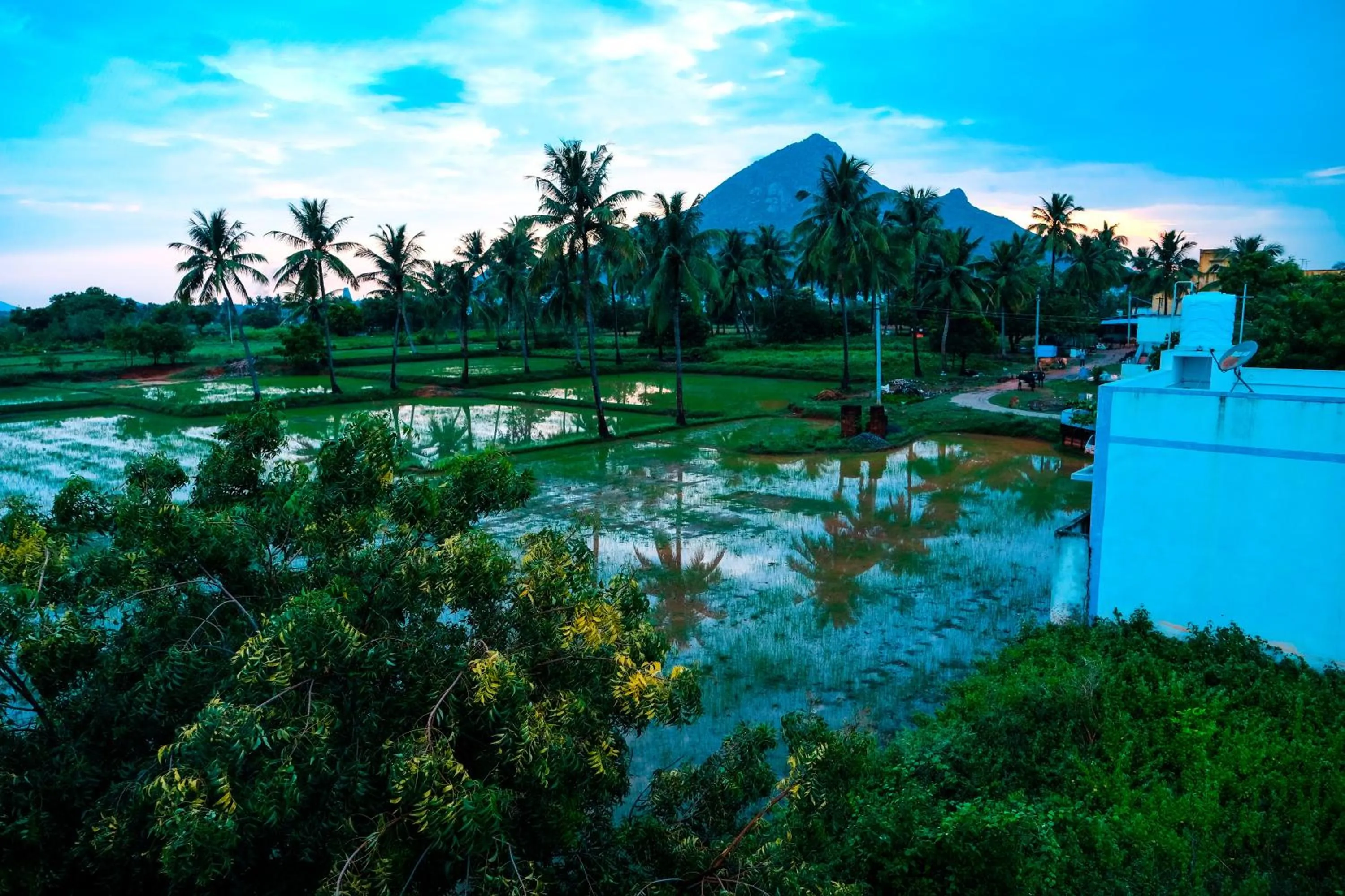 Nearby landmark in Sri Sakthi Residence