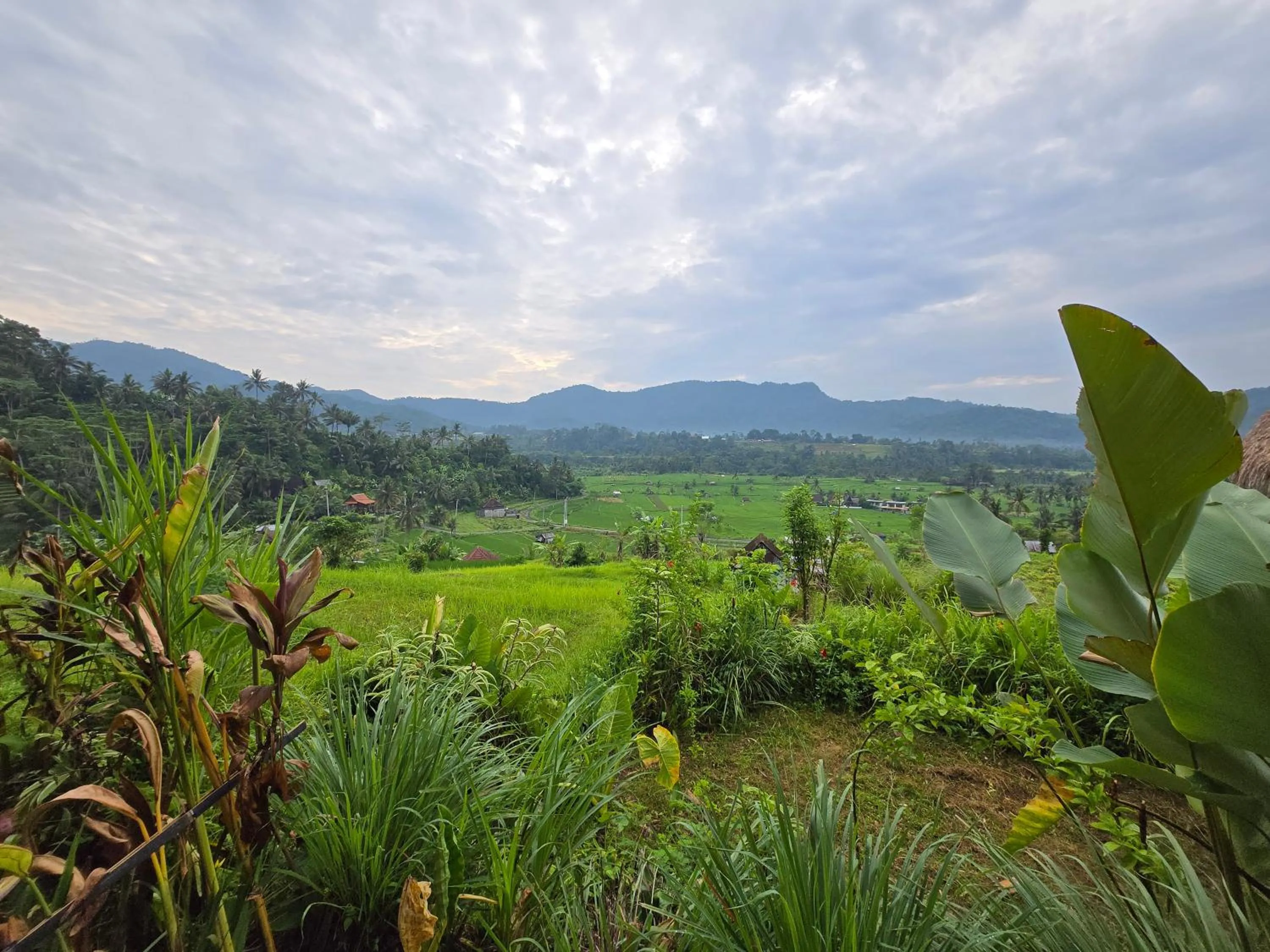 View (from property/room) in Sandag Hill