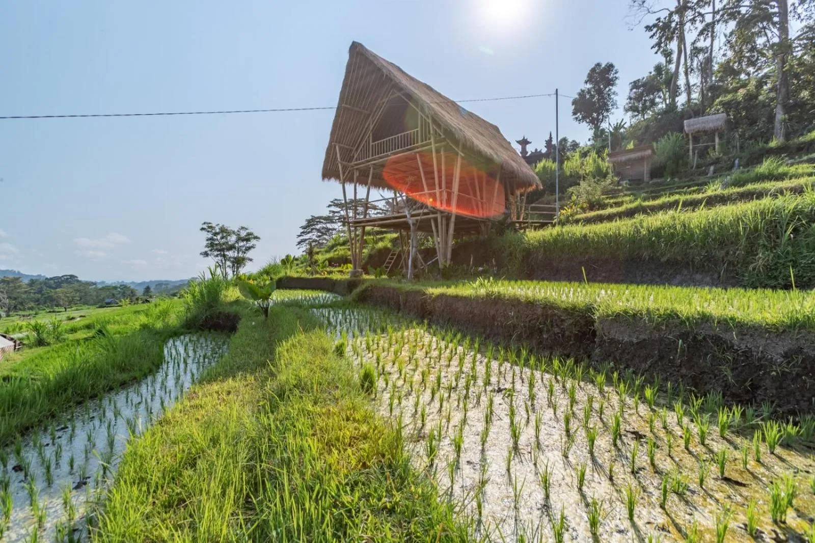 Natural landscape in Sandag Hill