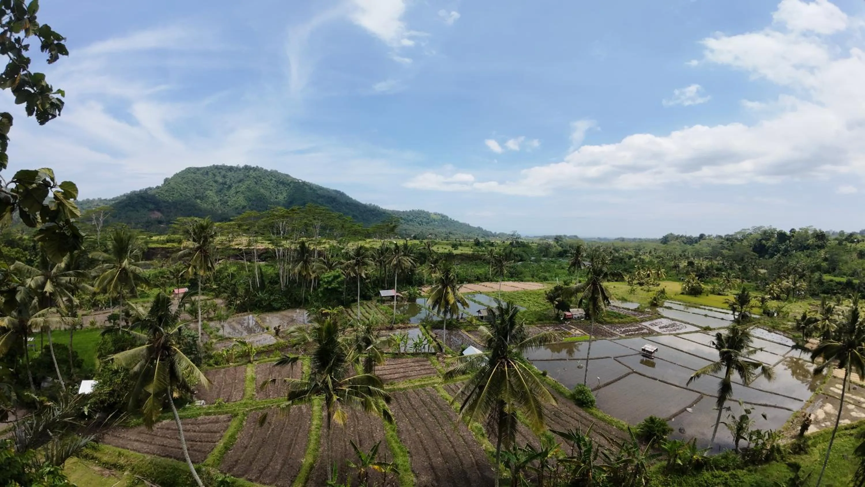 View (from property/room) in Sandag Hill