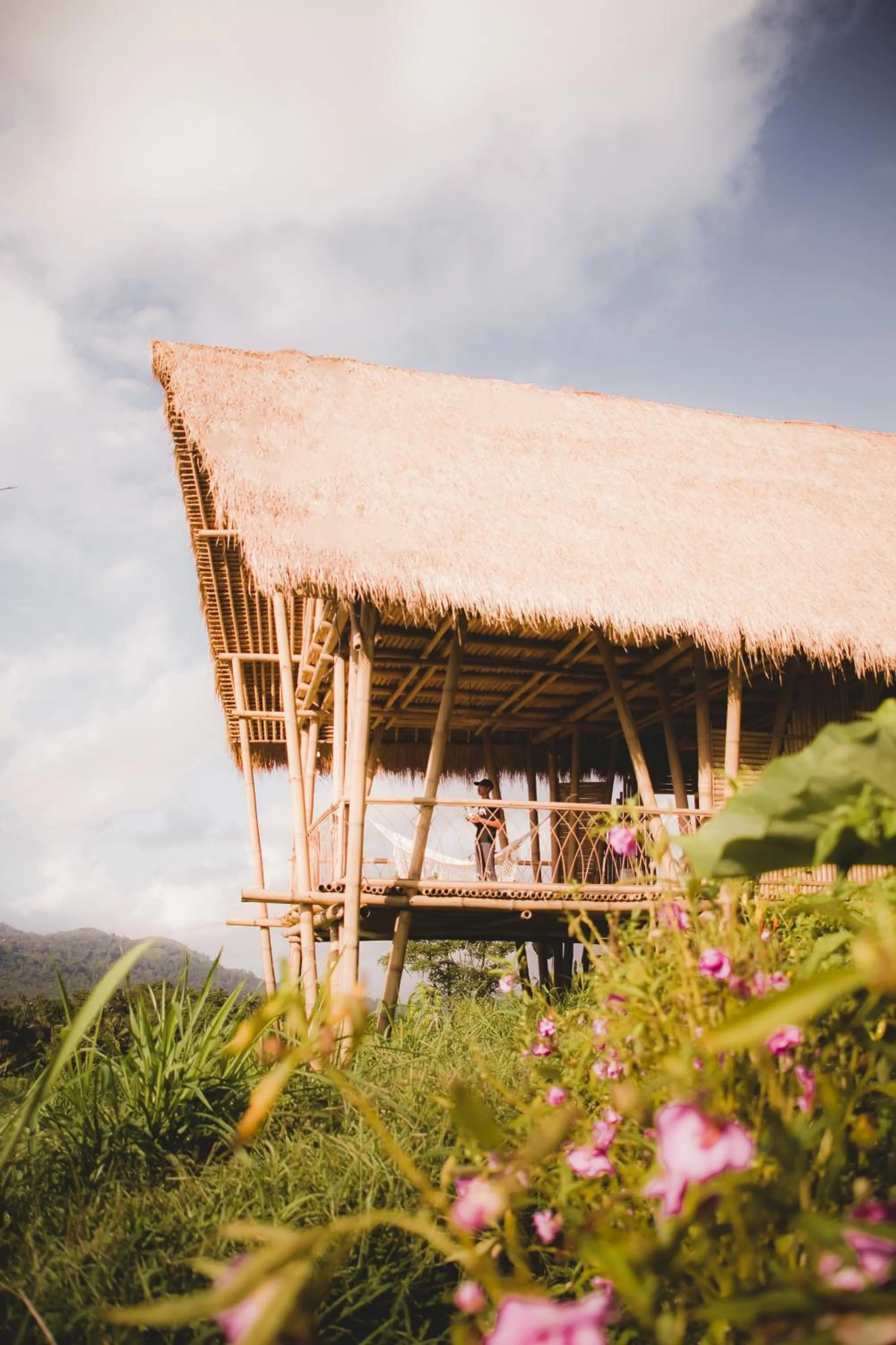 Property building in Sandag Hill