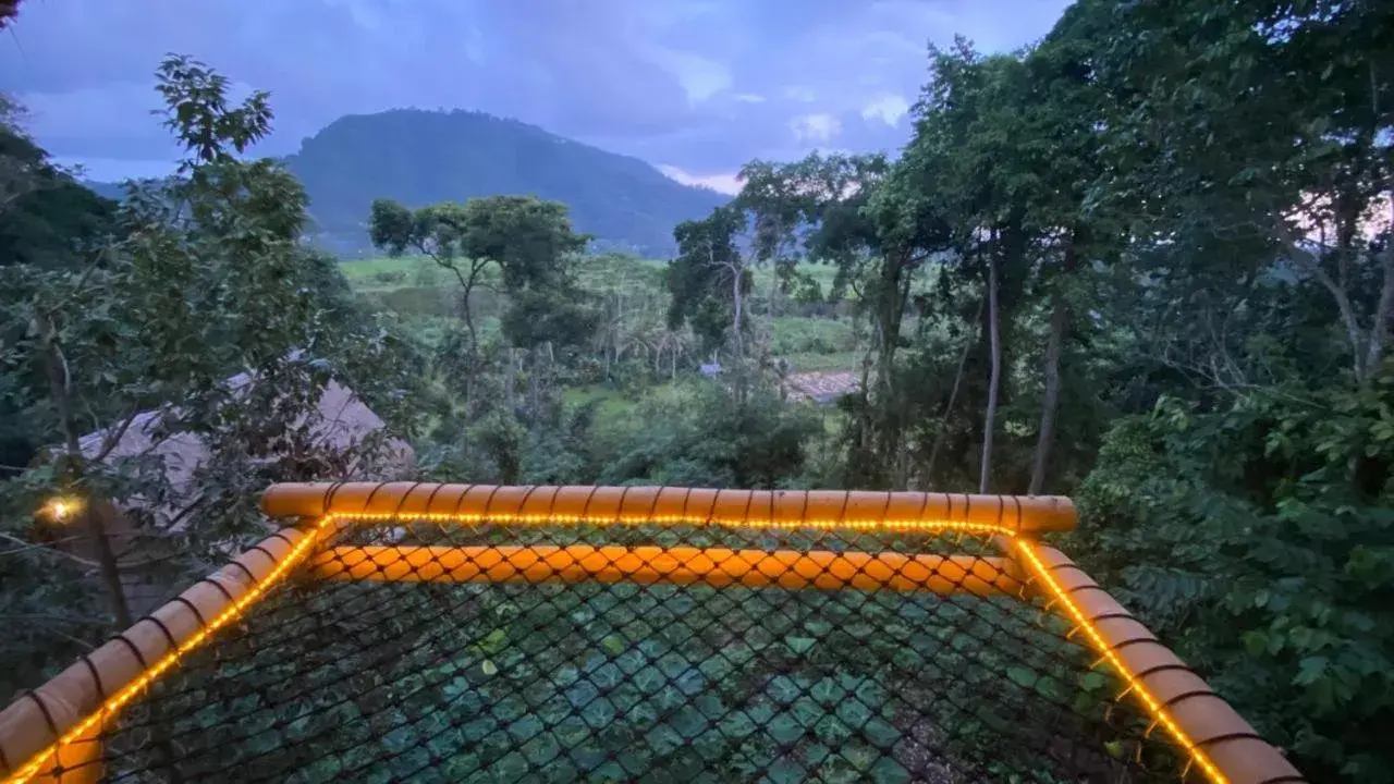 Suite Jungle in Sandag Hill Suite Jungle in Sandag Hill